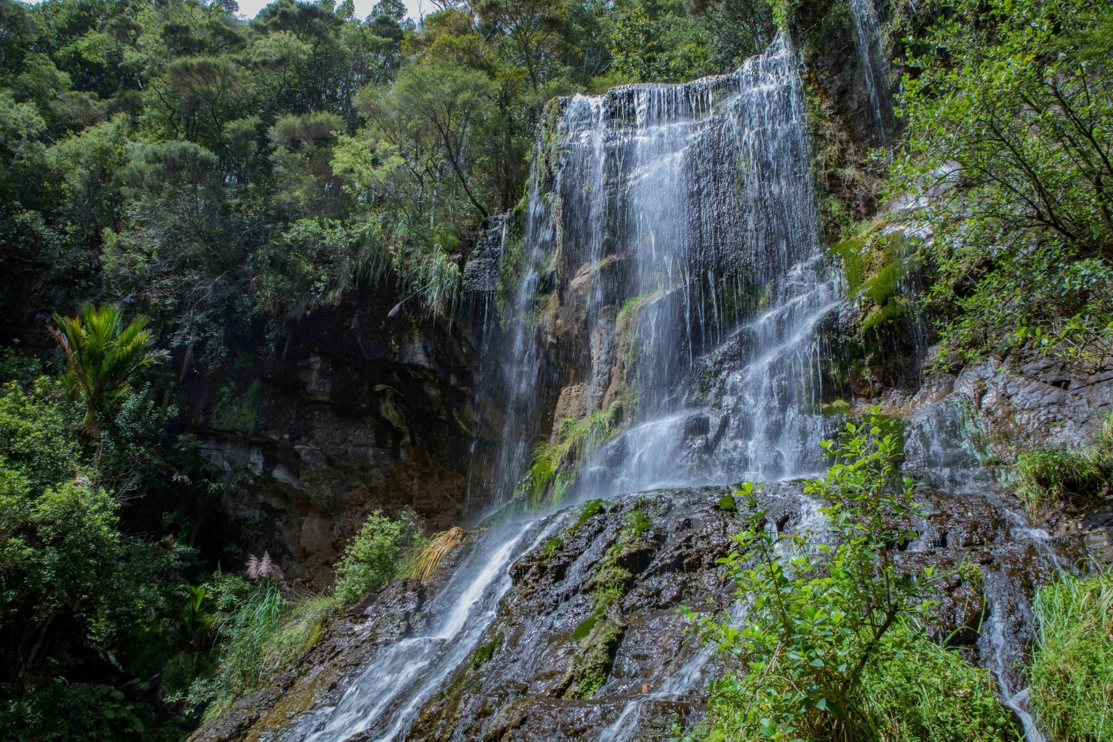 Mokoroa Falls,-699.JPG