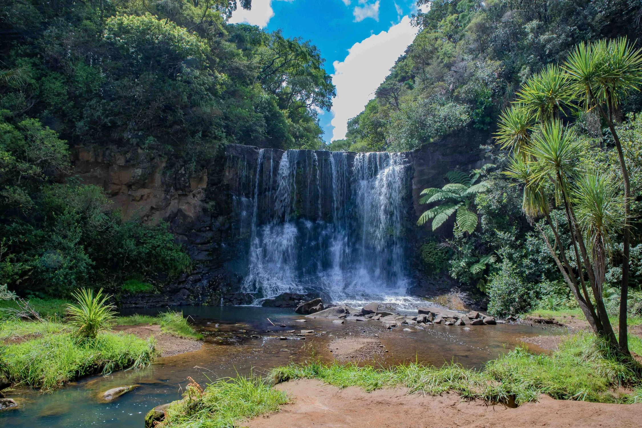 Mokoroa Falls,-700.JPG