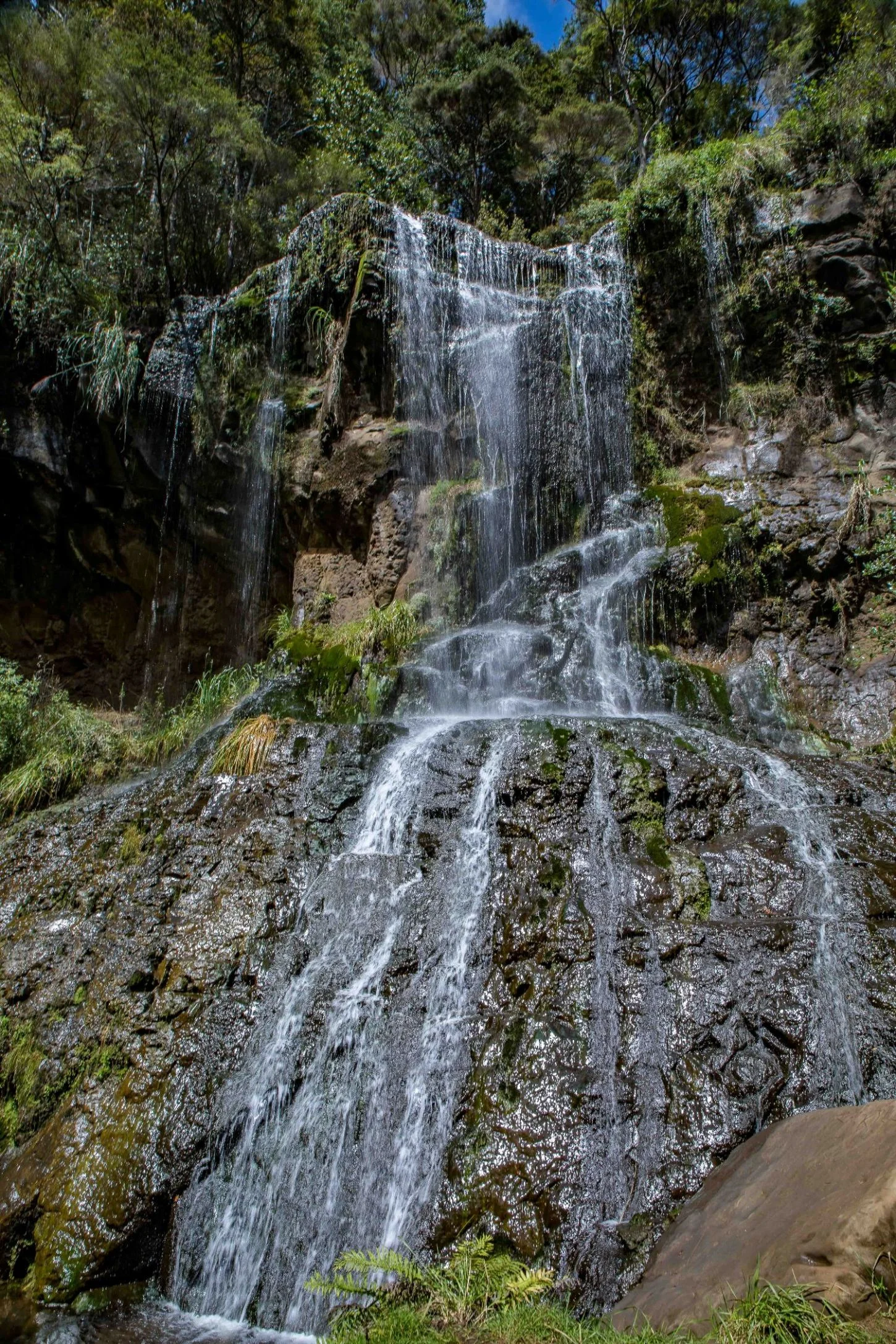 Mokoroa Falls,-701.JPG