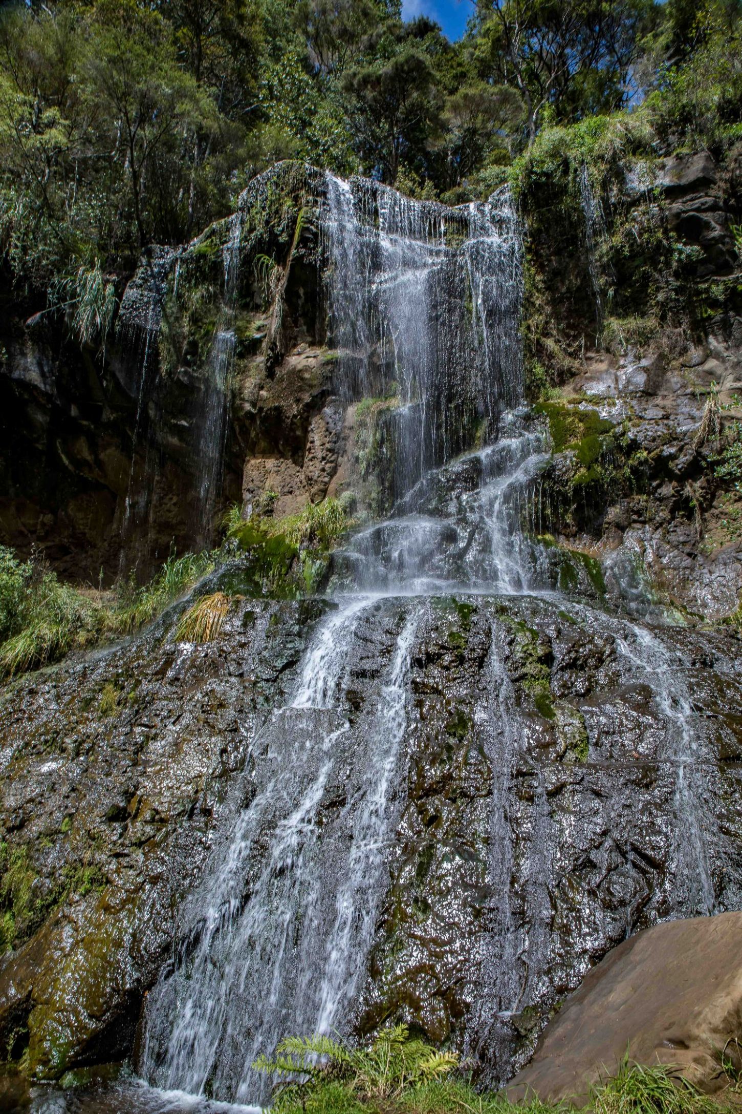Mokoroa Falls,-701.JPG