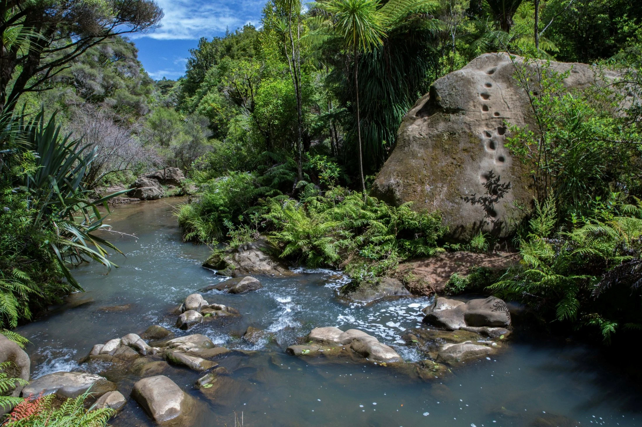 Mokoroa Falls,-702.JPG