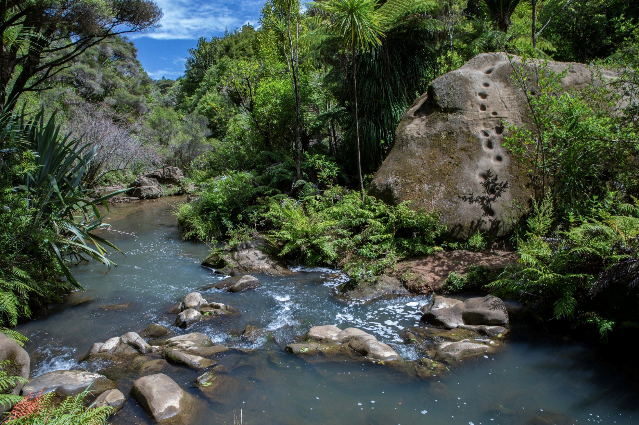 Mokoroa Falls,-702.JPG