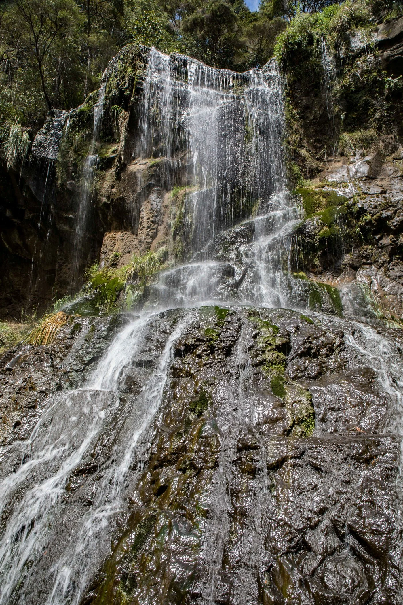 Mokoroa Falls,-708.JPG