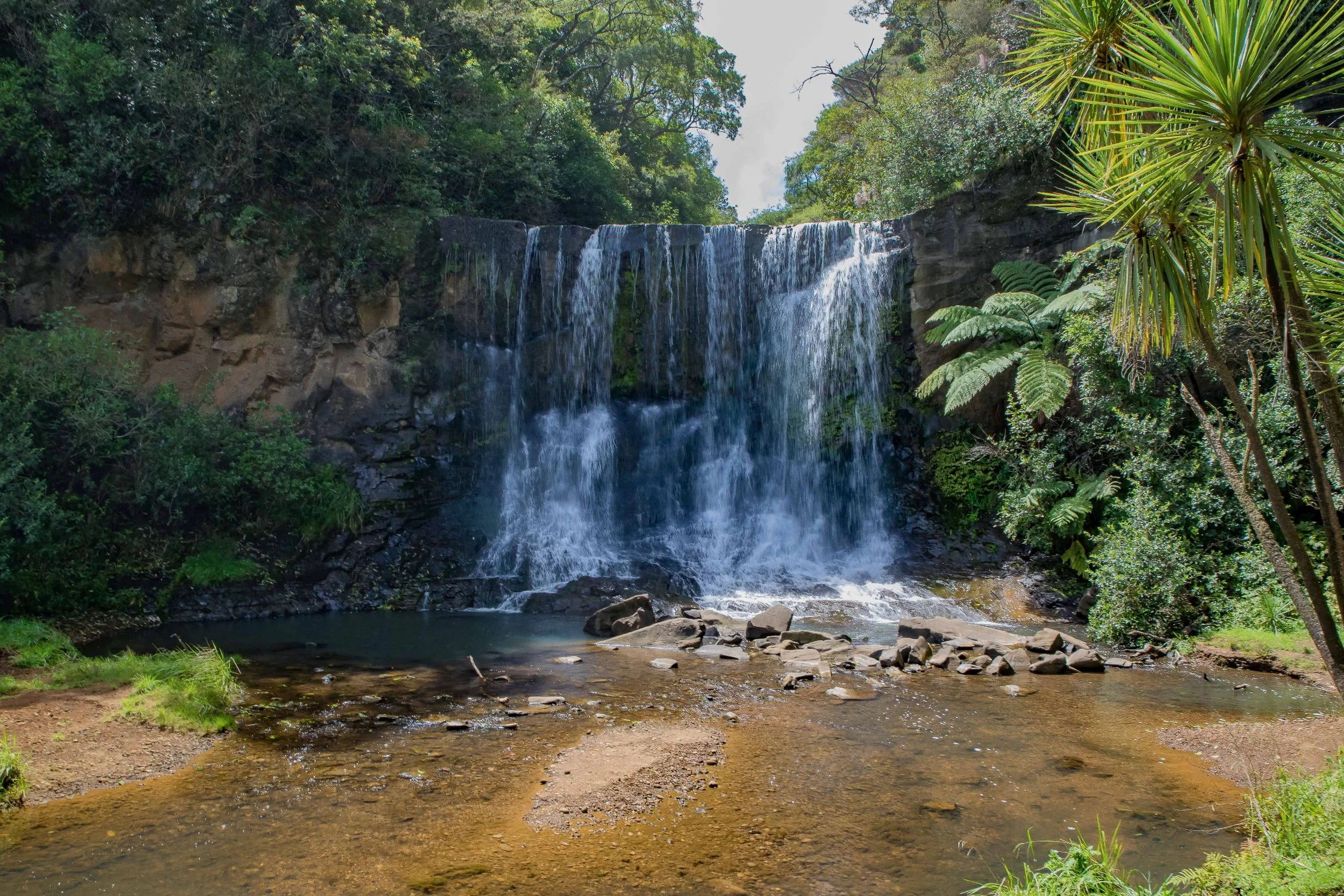 Mokoroa Falls,-709.JPG