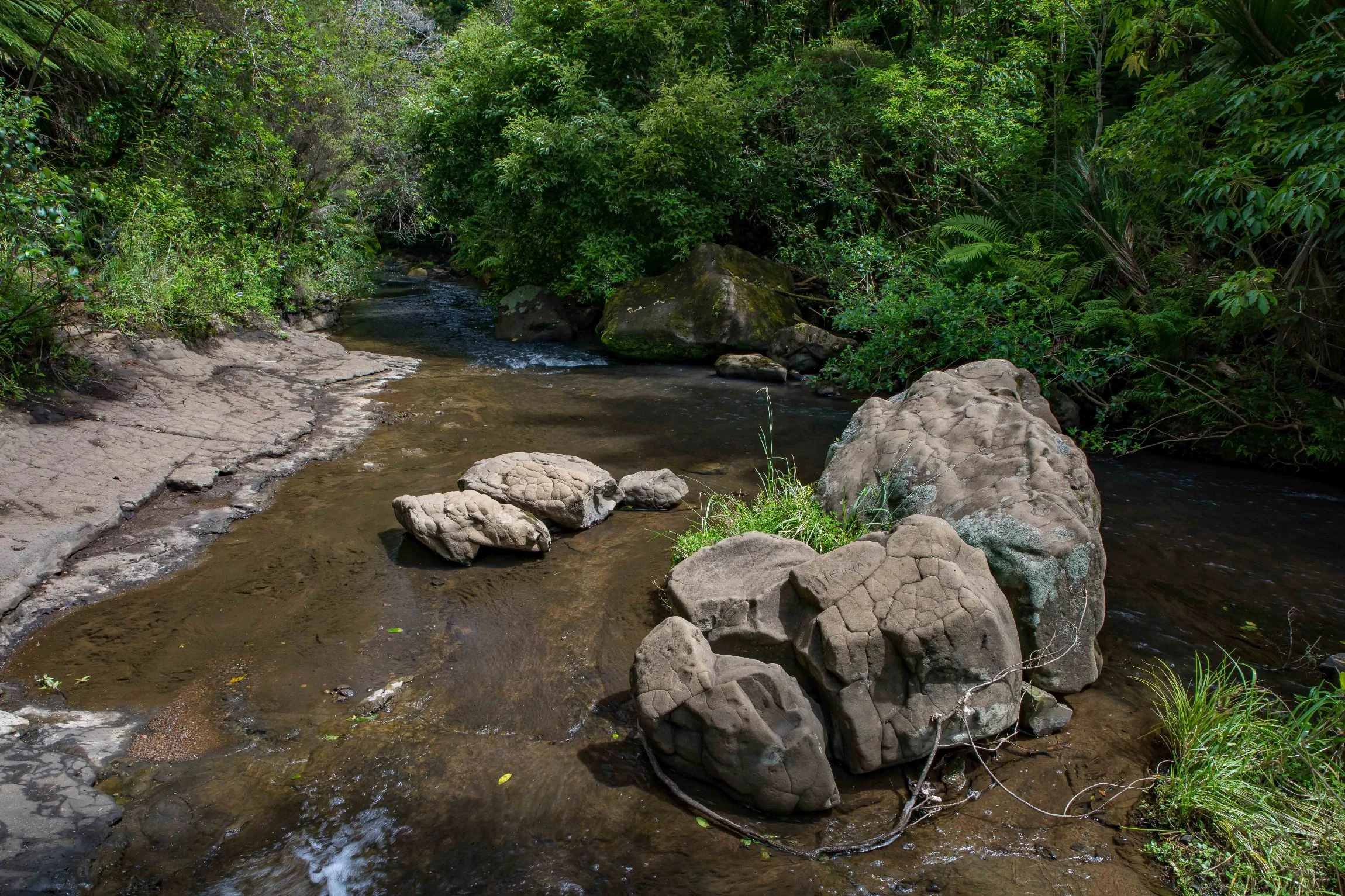 Mokoroa Falls,-739.JPG