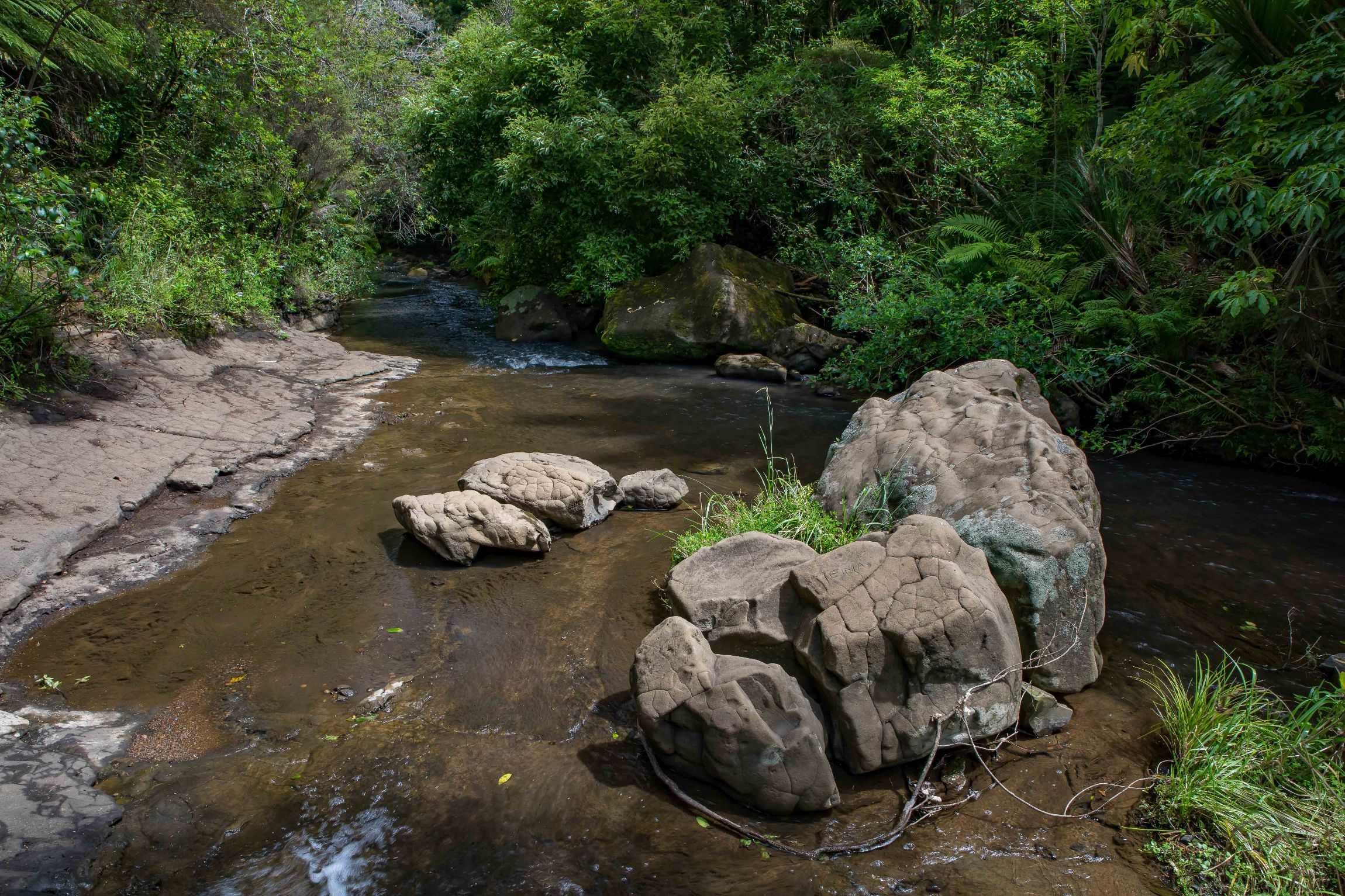 Mokoroa Falls,-739.JPG