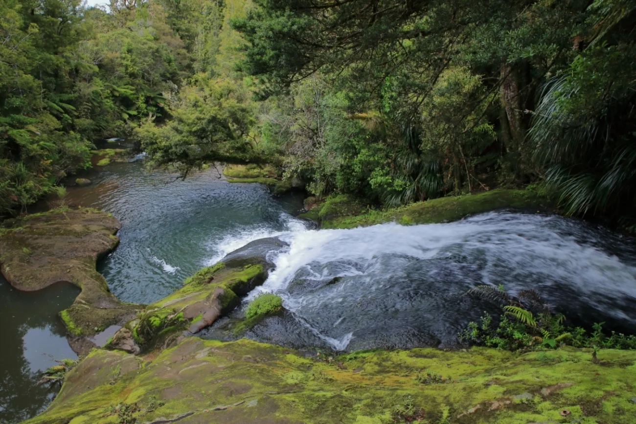Upper Nihotipu Dam Walk, 427.JPG