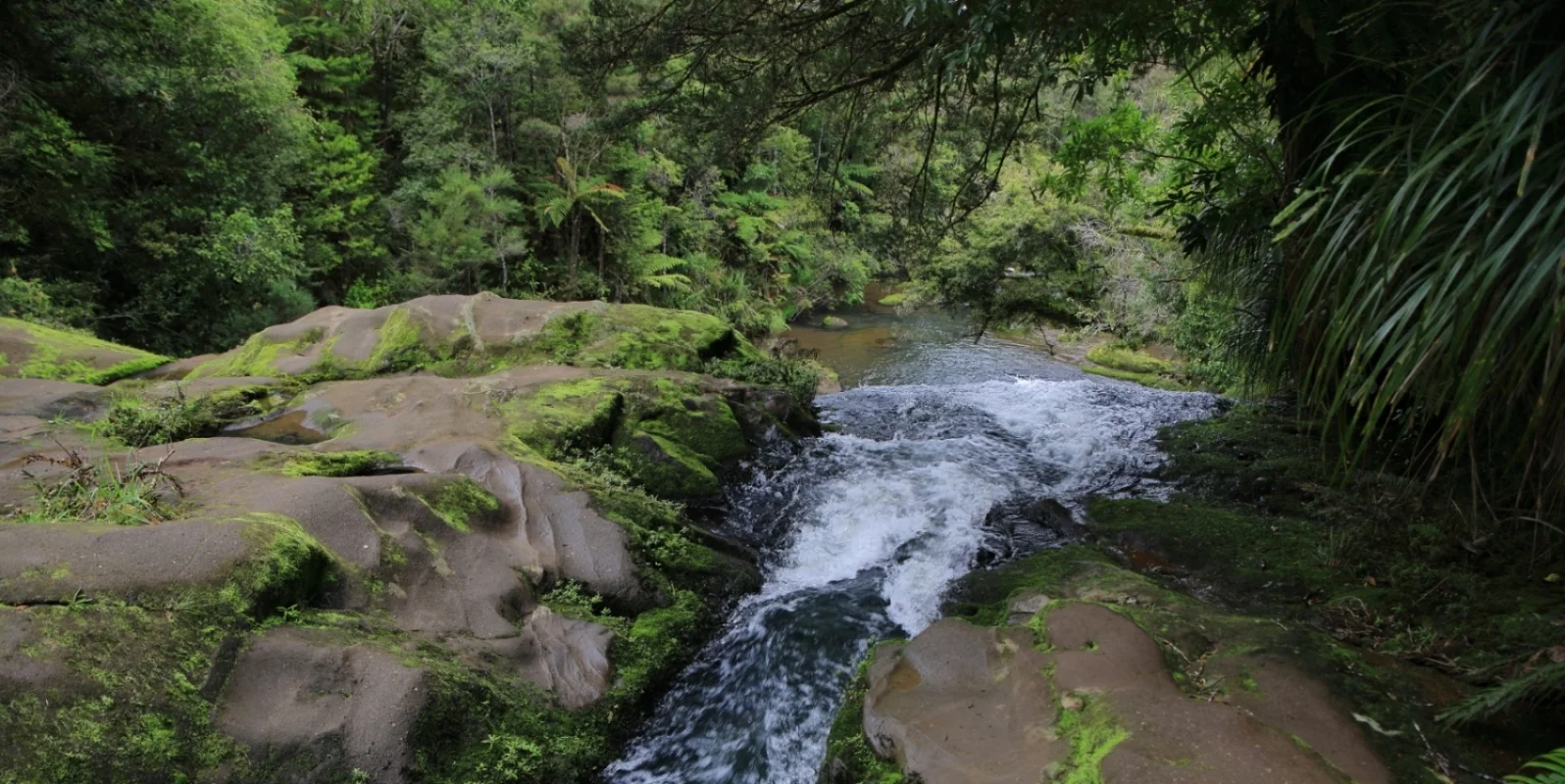 Upper Nihotipu Dam Walk, 425.JPG