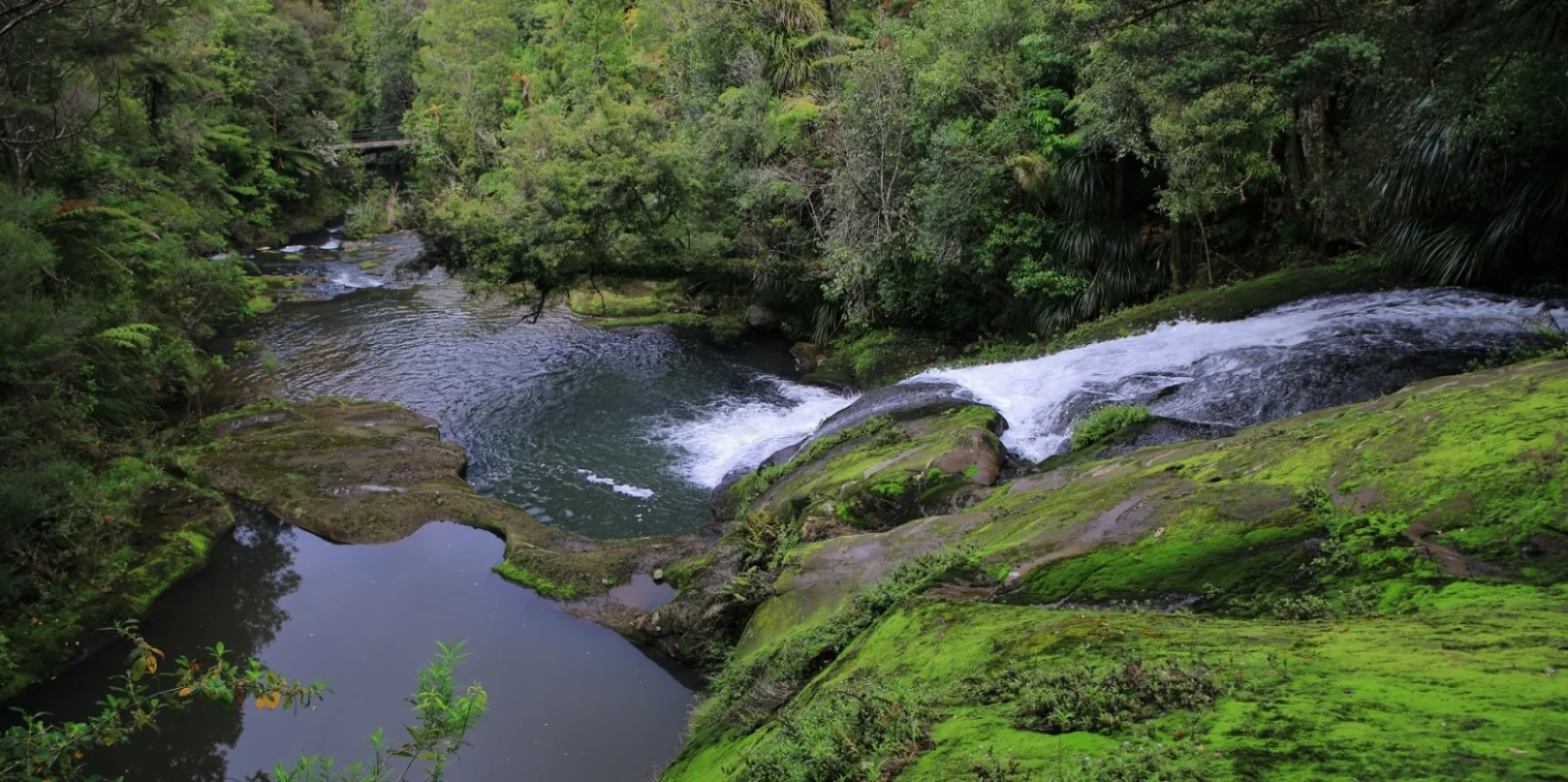 Upper Nihotipu Dam Walk, 430.JPG