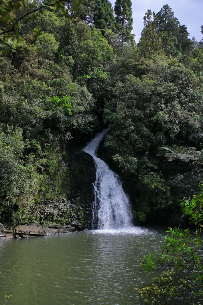 Upper Nihotipu Dam Walk, 467.JPG