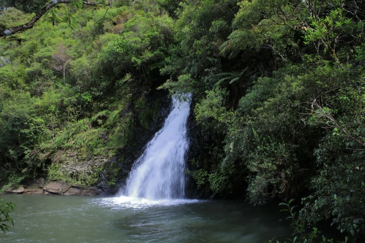 Upper Nihotipu Dam Walk, 474a.jpg