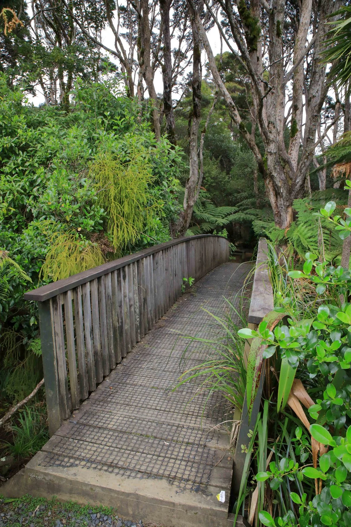 Upper Nihotipu Dam Walk,-399.JPG