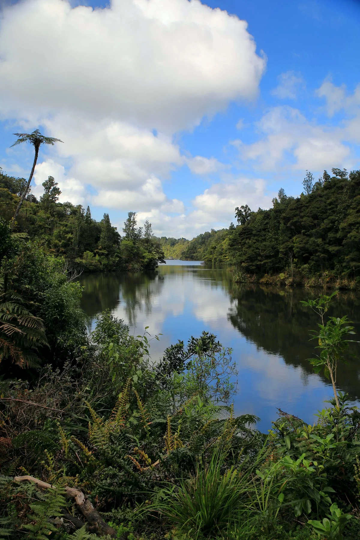 Upper Nihotipu Dam Walk,-480.JPG