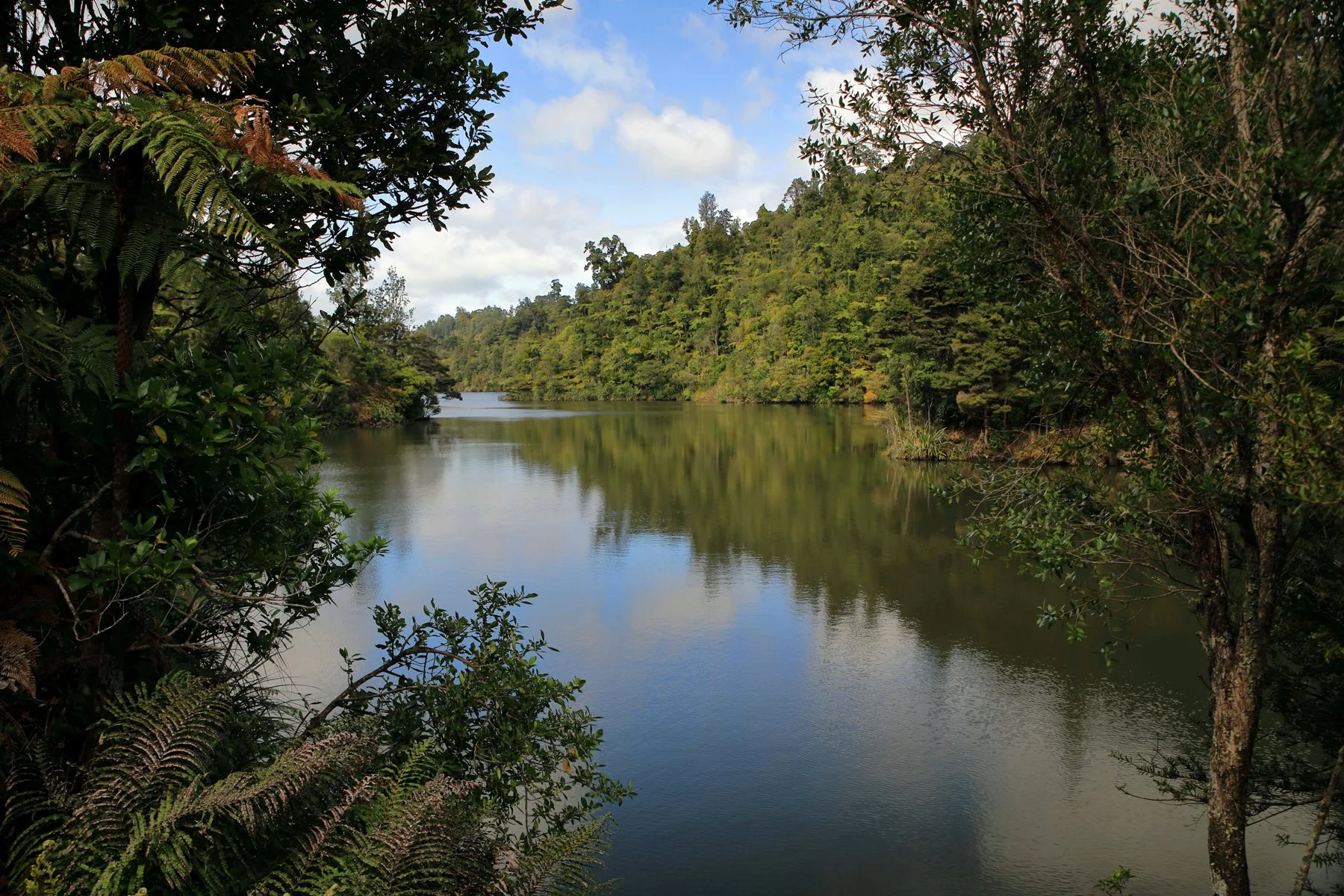 Upper Nihotipu Dam Walk,-481.JPG