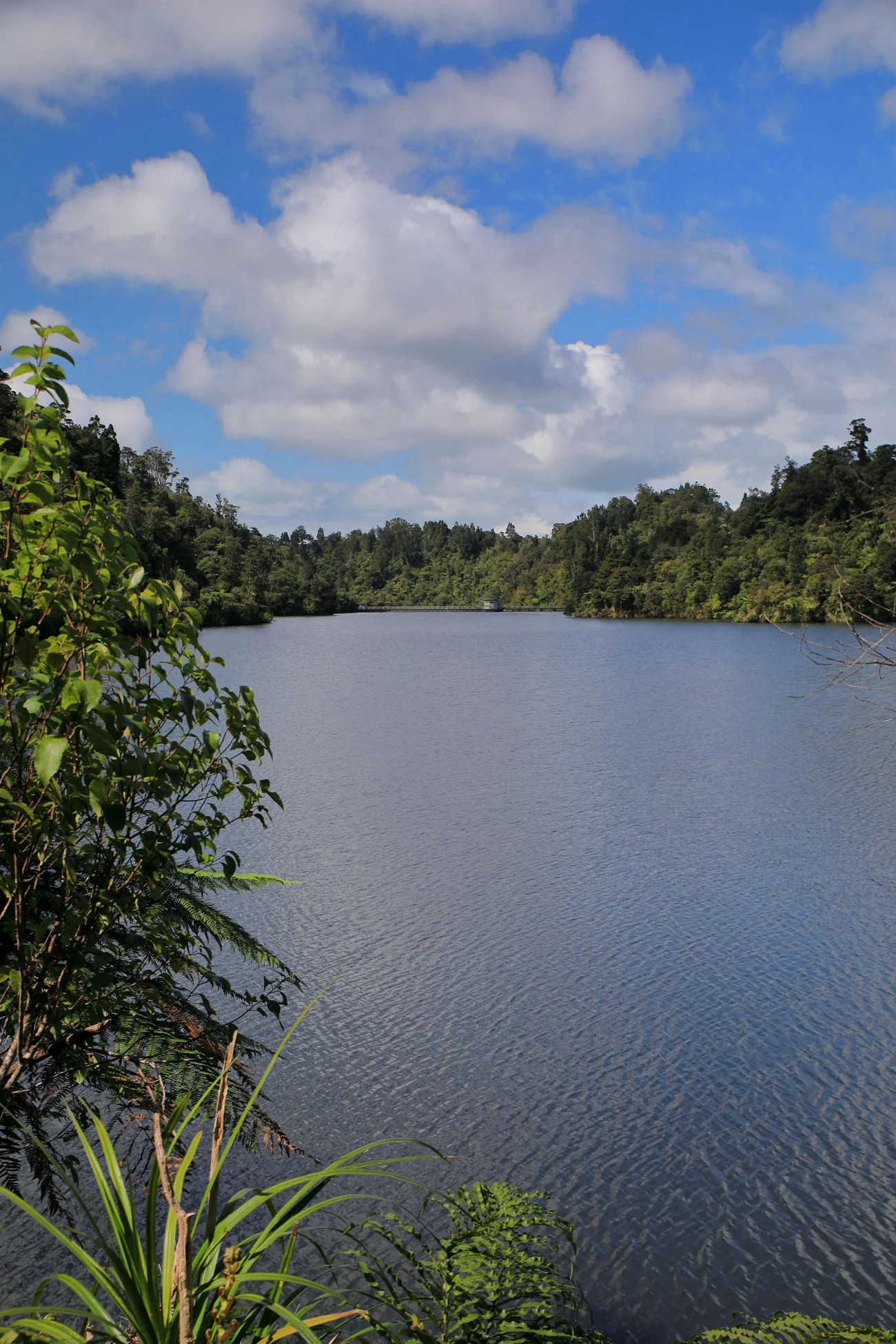 Upper Nihotipu Dam Walk,-486.JPG