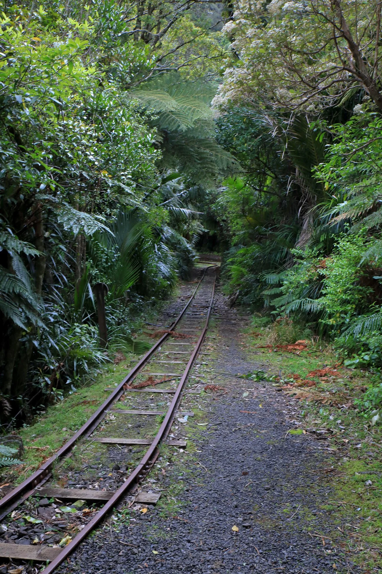 Upper Nihotipu Dam Walk,-570.JPG