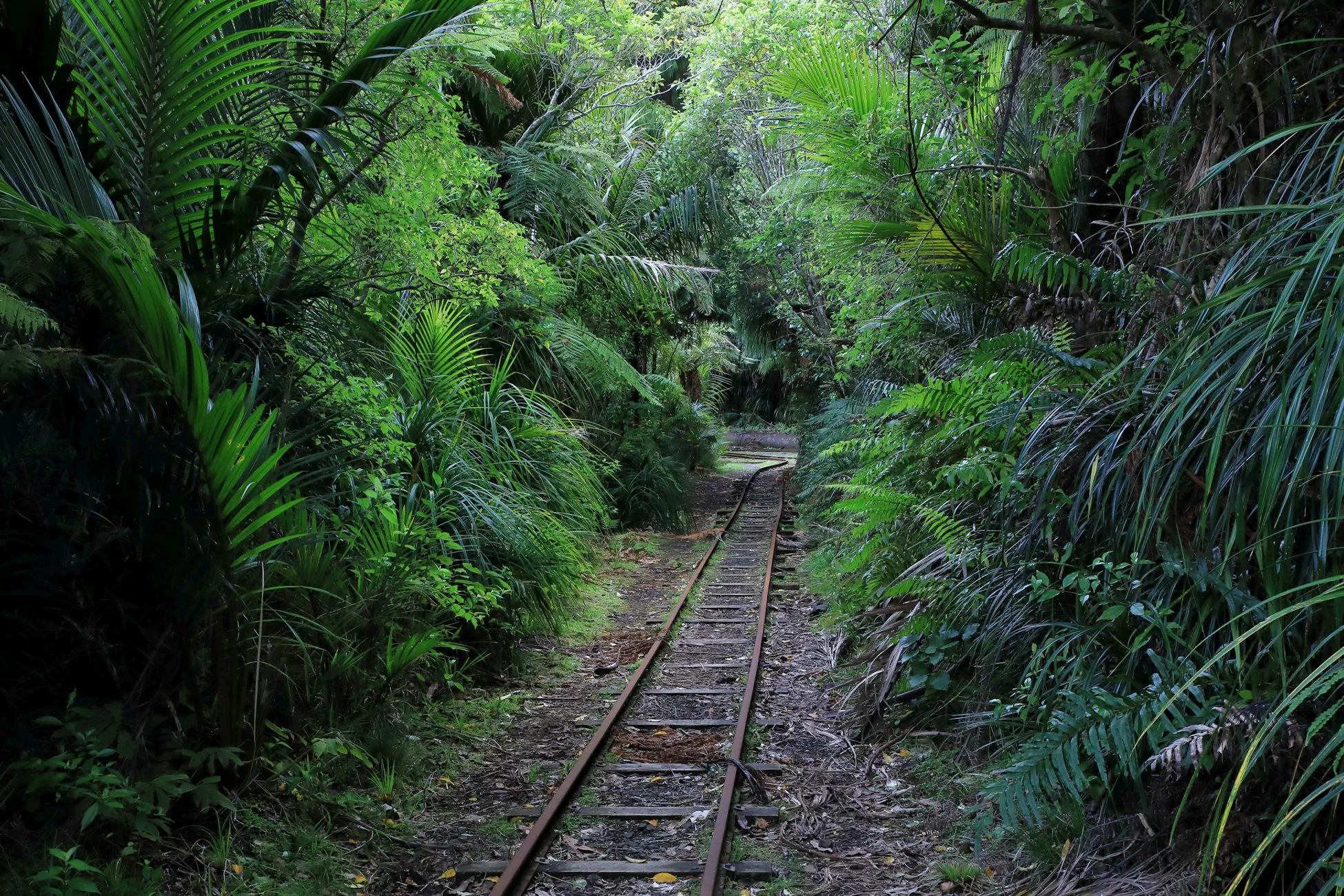 Upper Nihotipu Dam Walk,-571.JPG