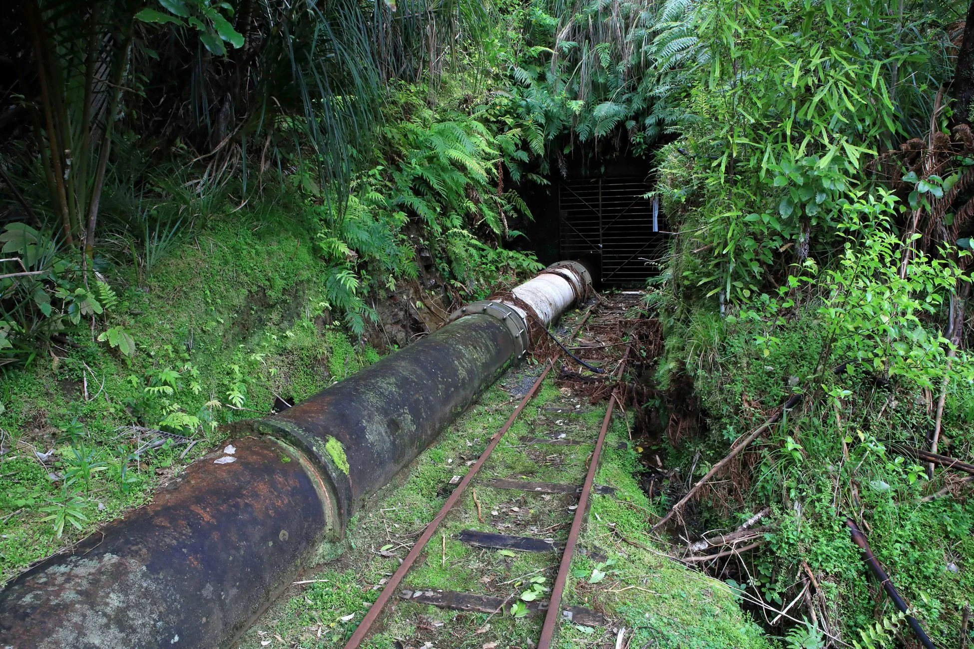 Upper Nihotipu Dam Walk,-572.JPG