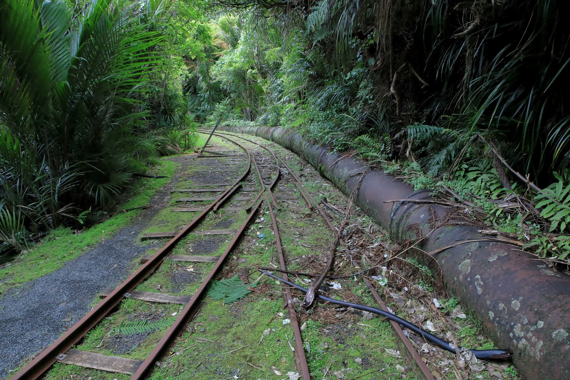Upper Nihotipu Dam Walk,-573.JPG