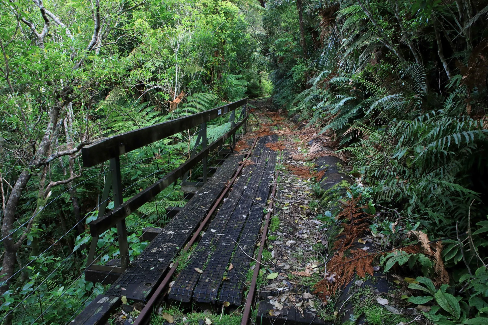 Upper Nihotipu Dam Walk,-576.JPG