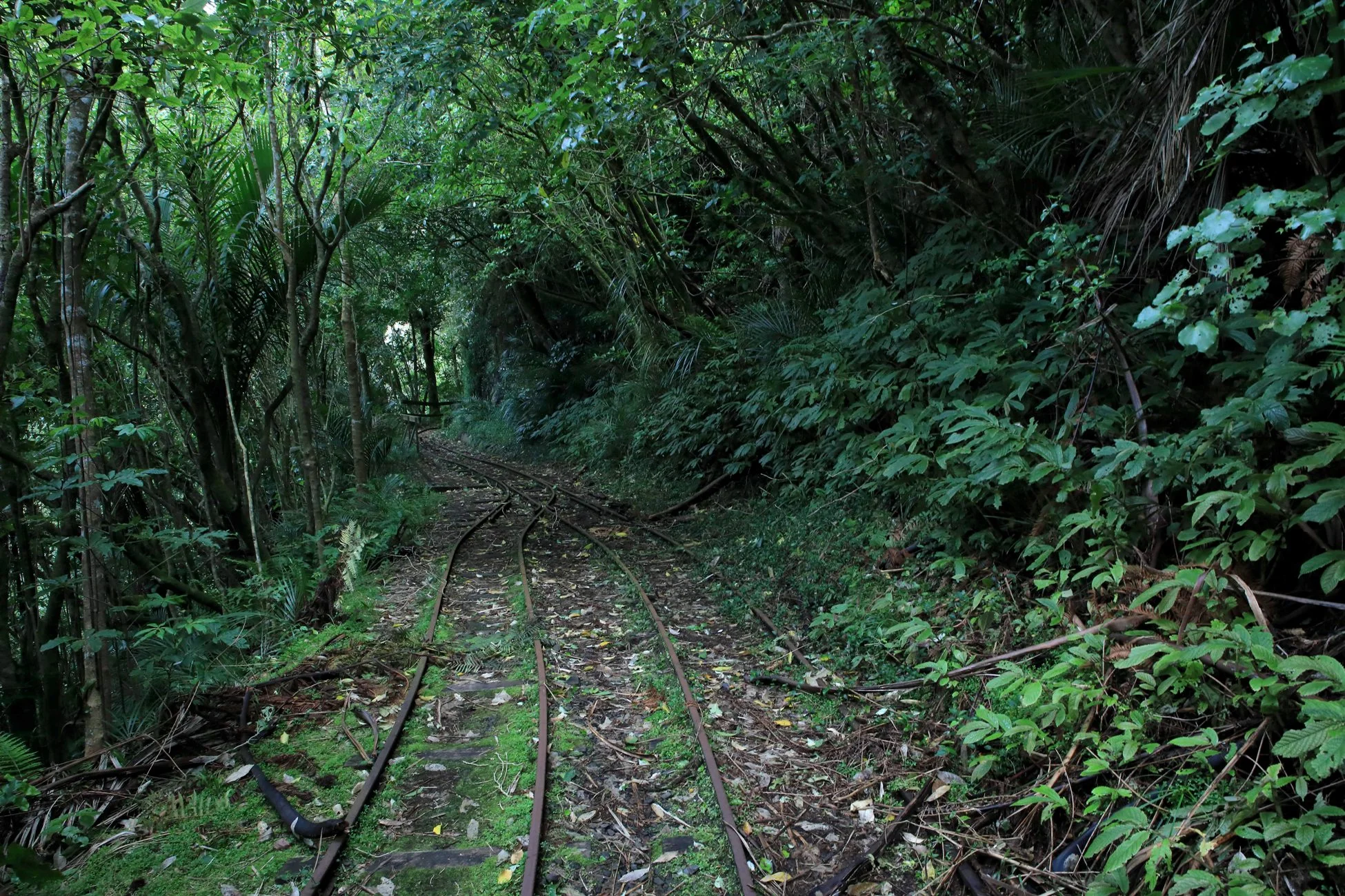 Upper Nihotipu Dam Walk,-578.JPG