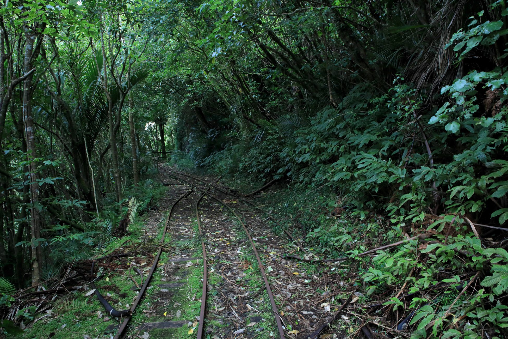 Upper Nihotipu Dam Walk,-578.JPG