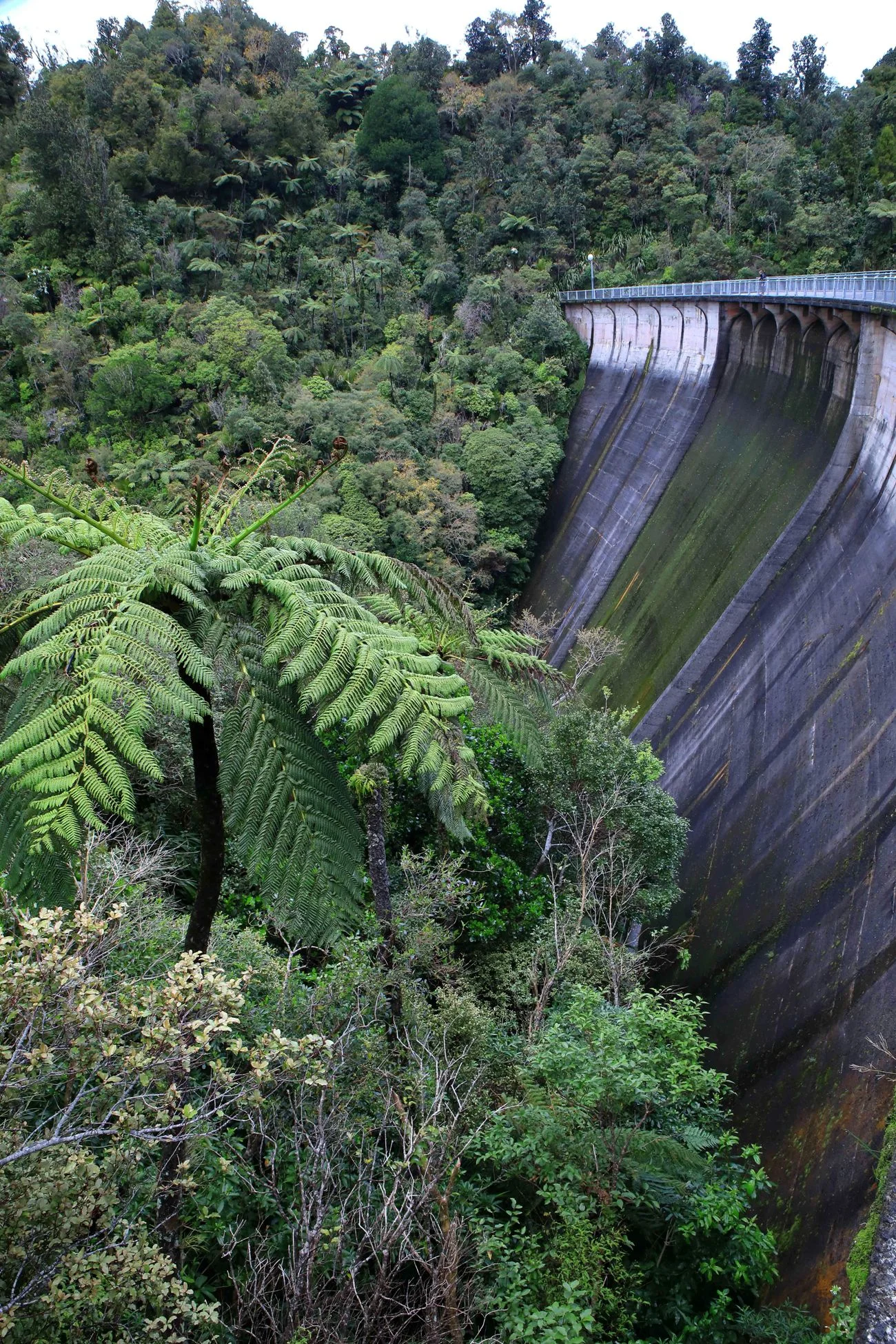 Upper Nihotipu Dam,-546.JPG