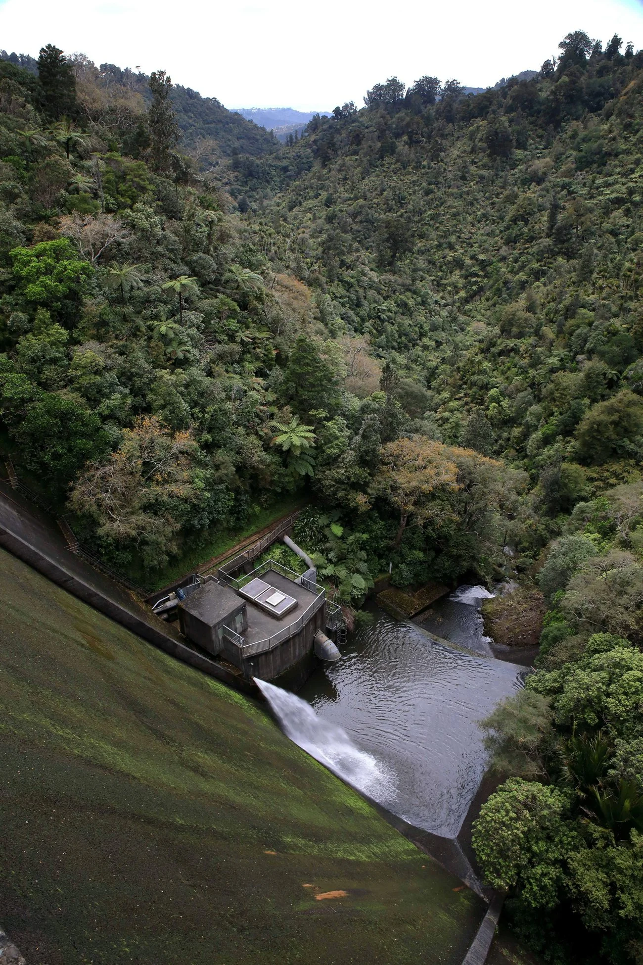 Upper Nihotipu Dam,-551.JPG