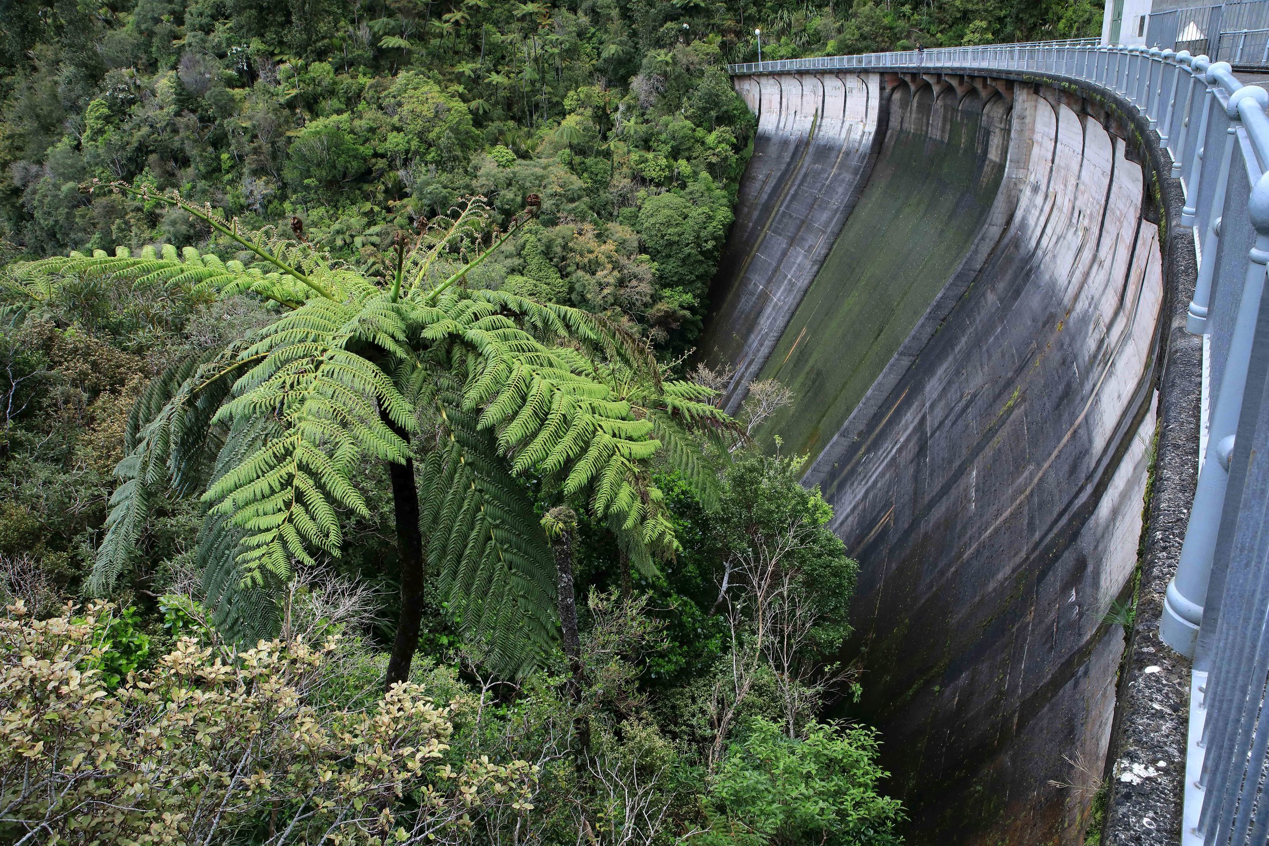 Upper Nihotipu Dam,-547.JPG