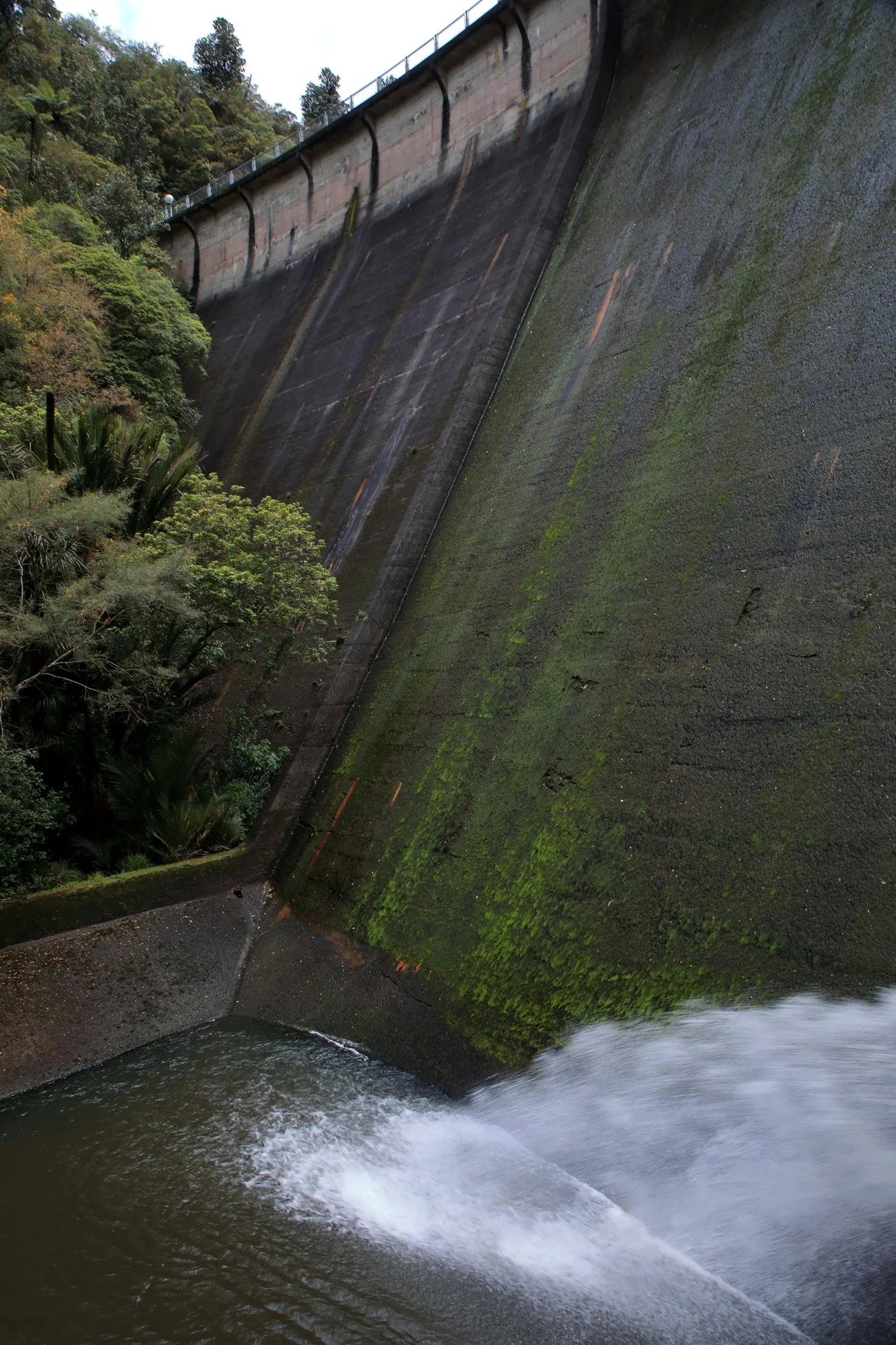 Upper Nihotipu Dam,-584.JPG
