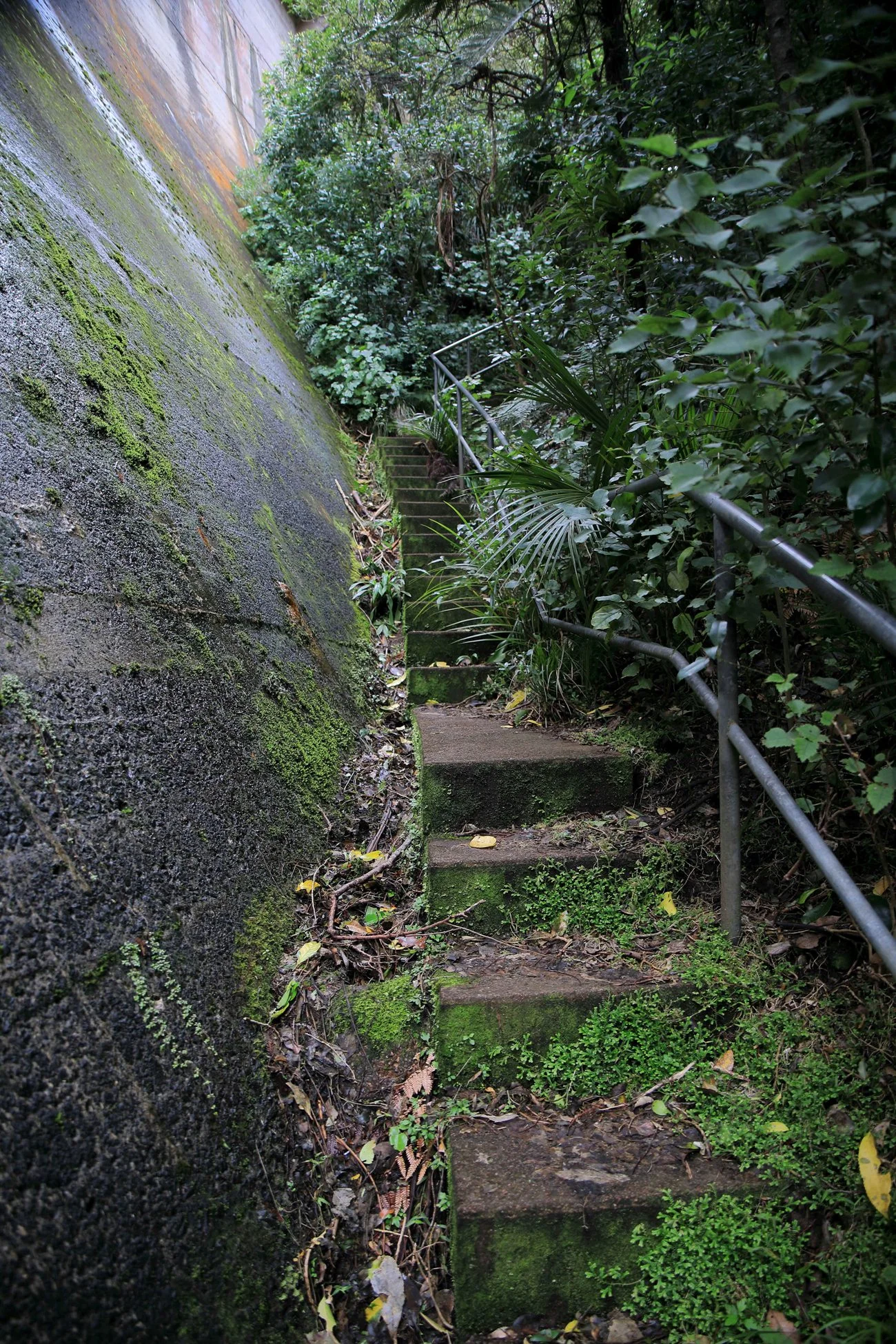 Upper Nihotipu Dam,-590.JPG