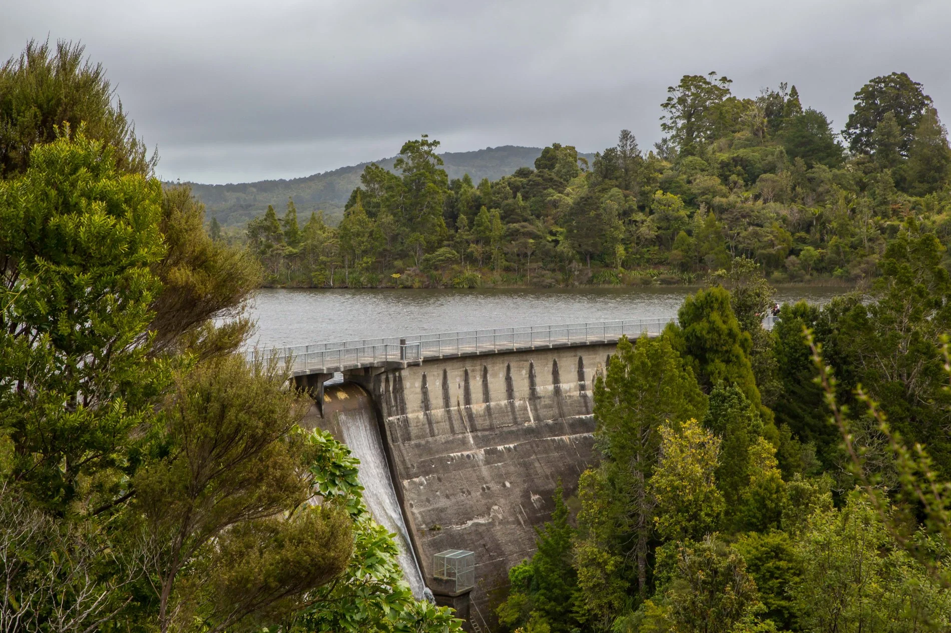 Waitakere Dam,-6658.JPG