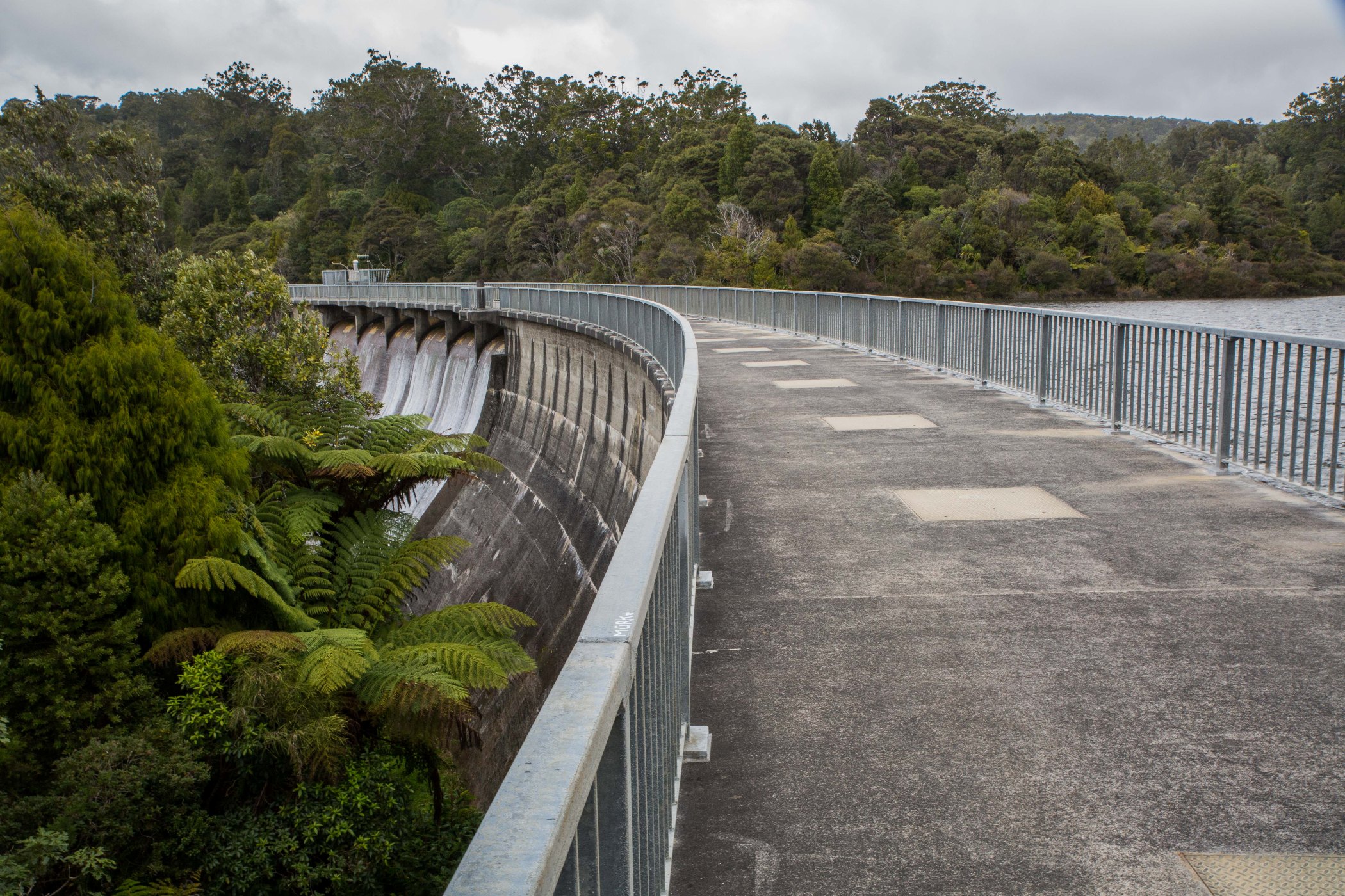 Waitakere Dam,-6665.JPG