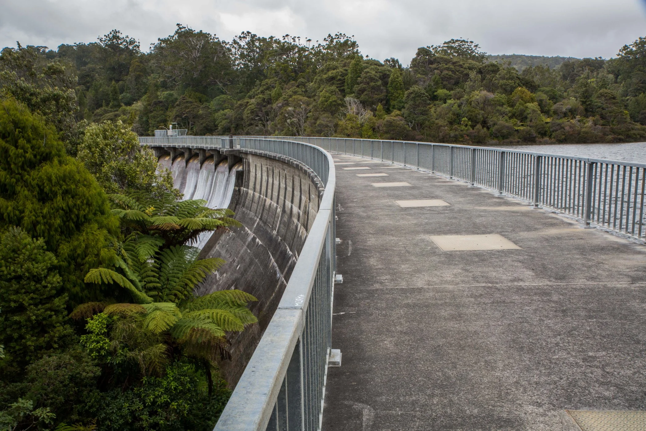 Waitakere Dam,-6665.JPG