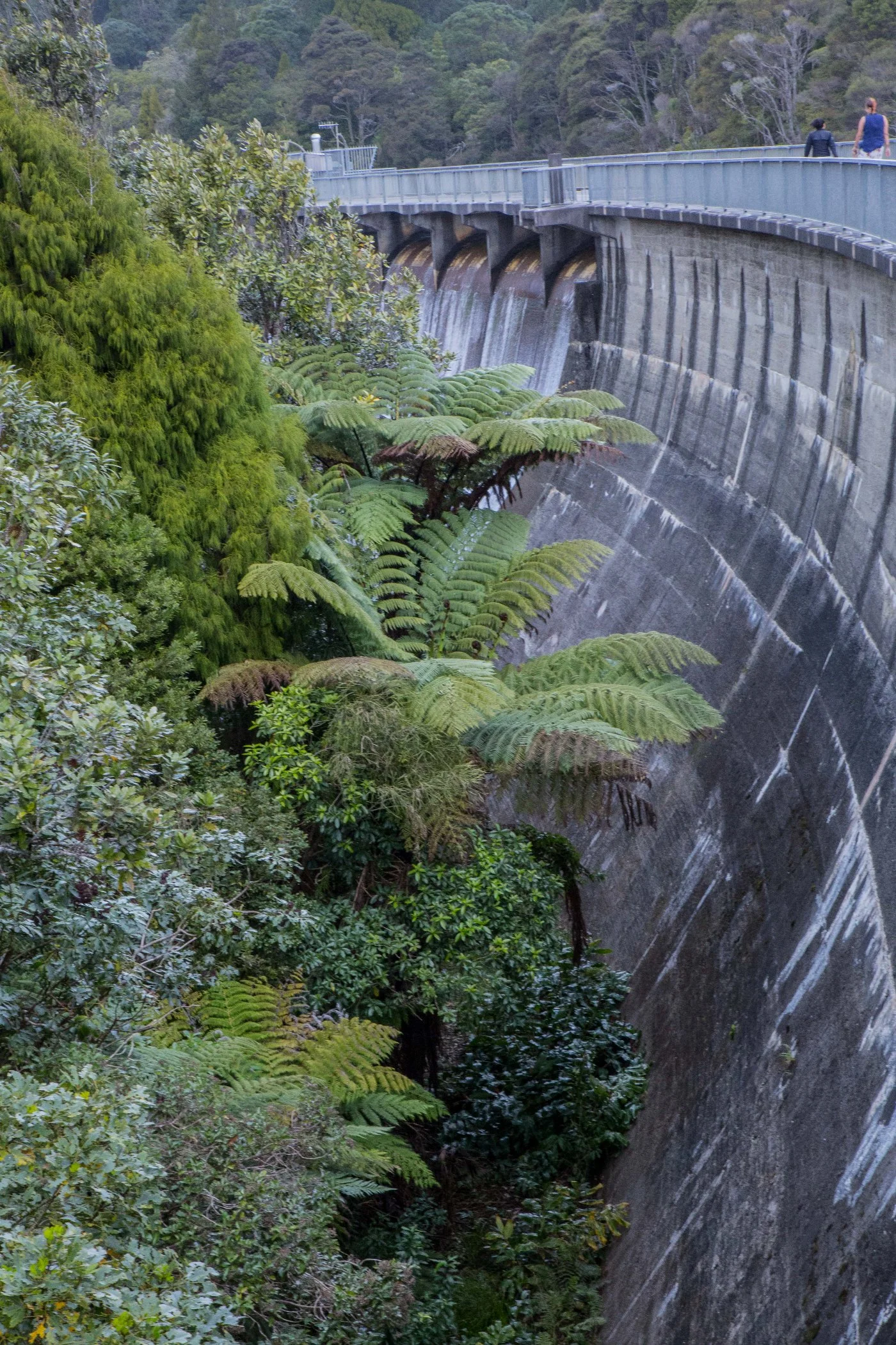 Waitakere Dam,-6666.JPG