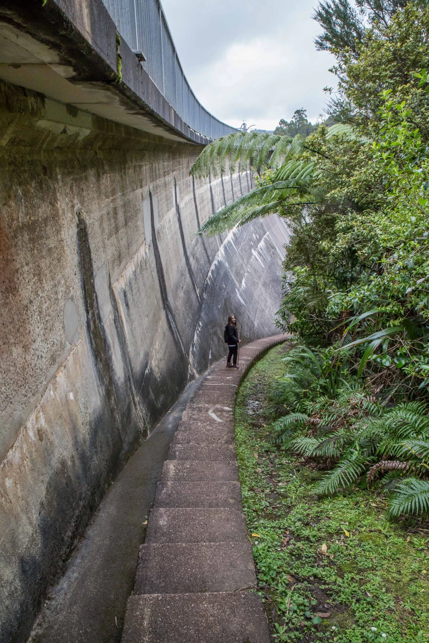 Waitakere Dam,-6674.JPG