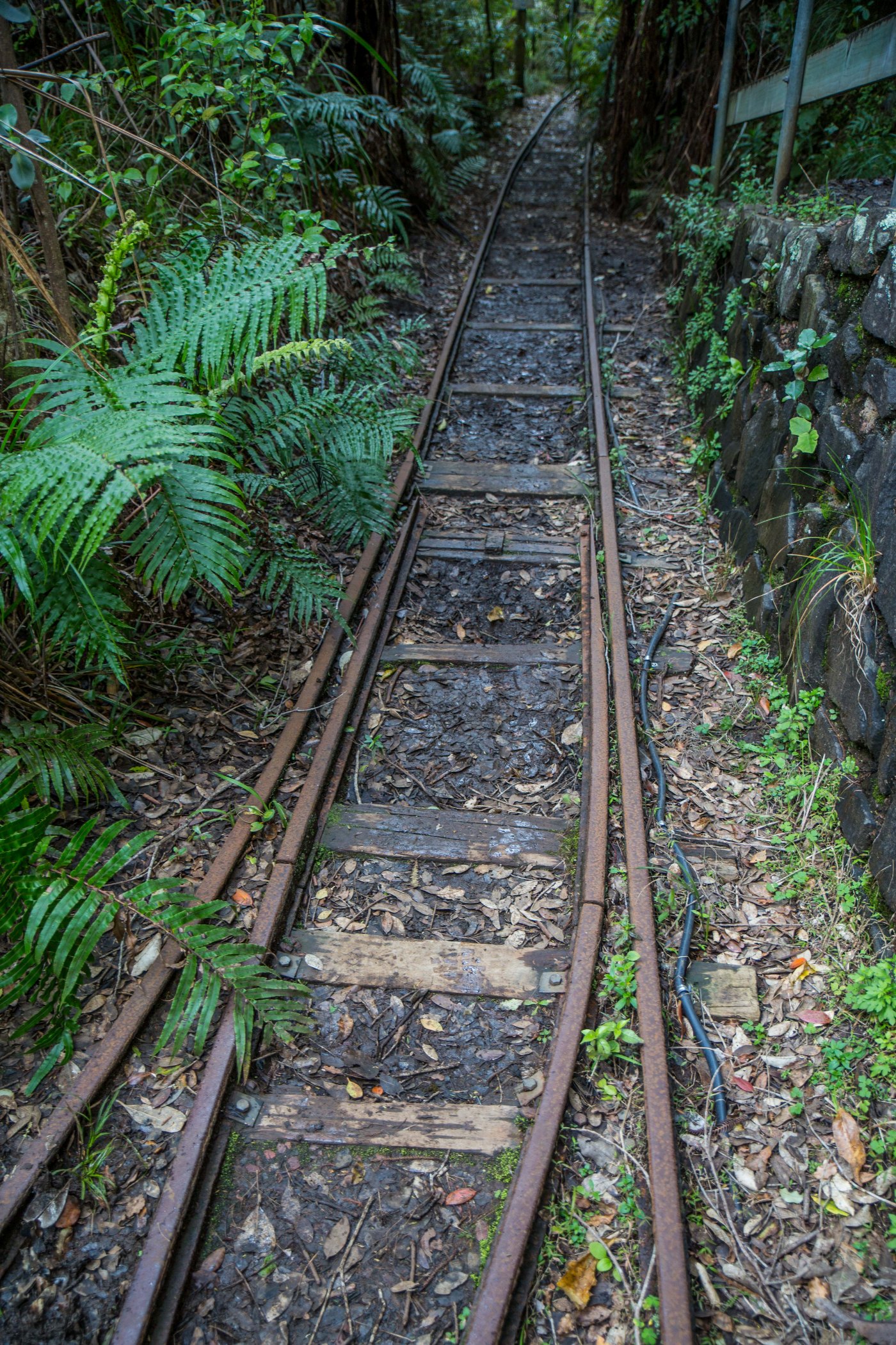 Waitakere Dam,-6680.JPG