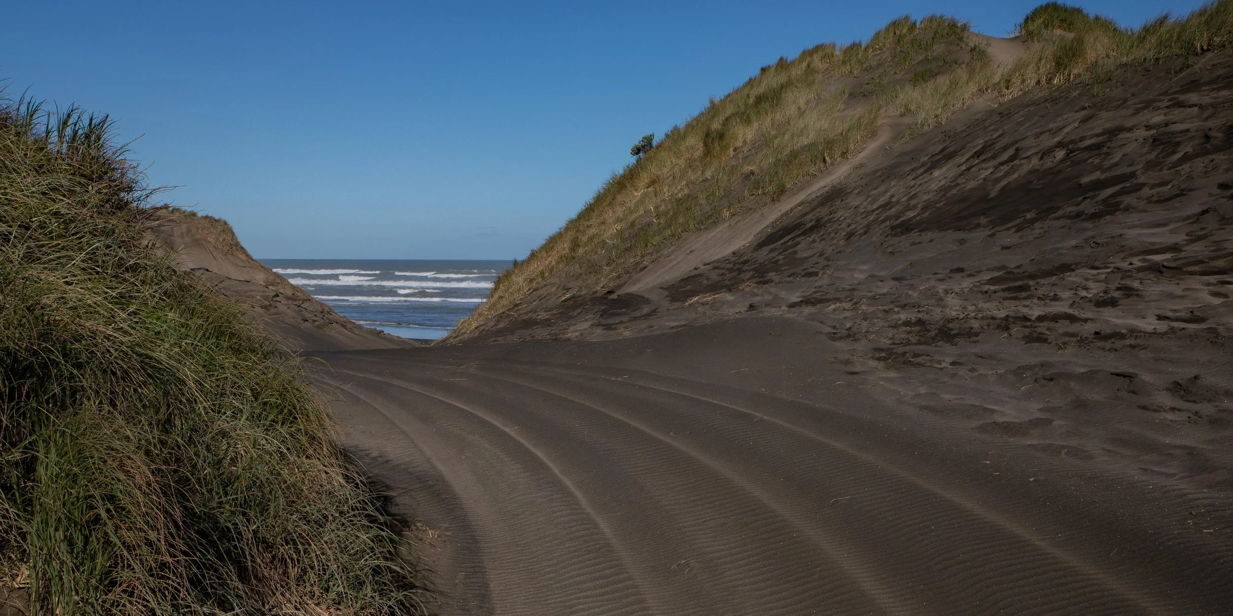 Muriwai Beach,-333.JPG