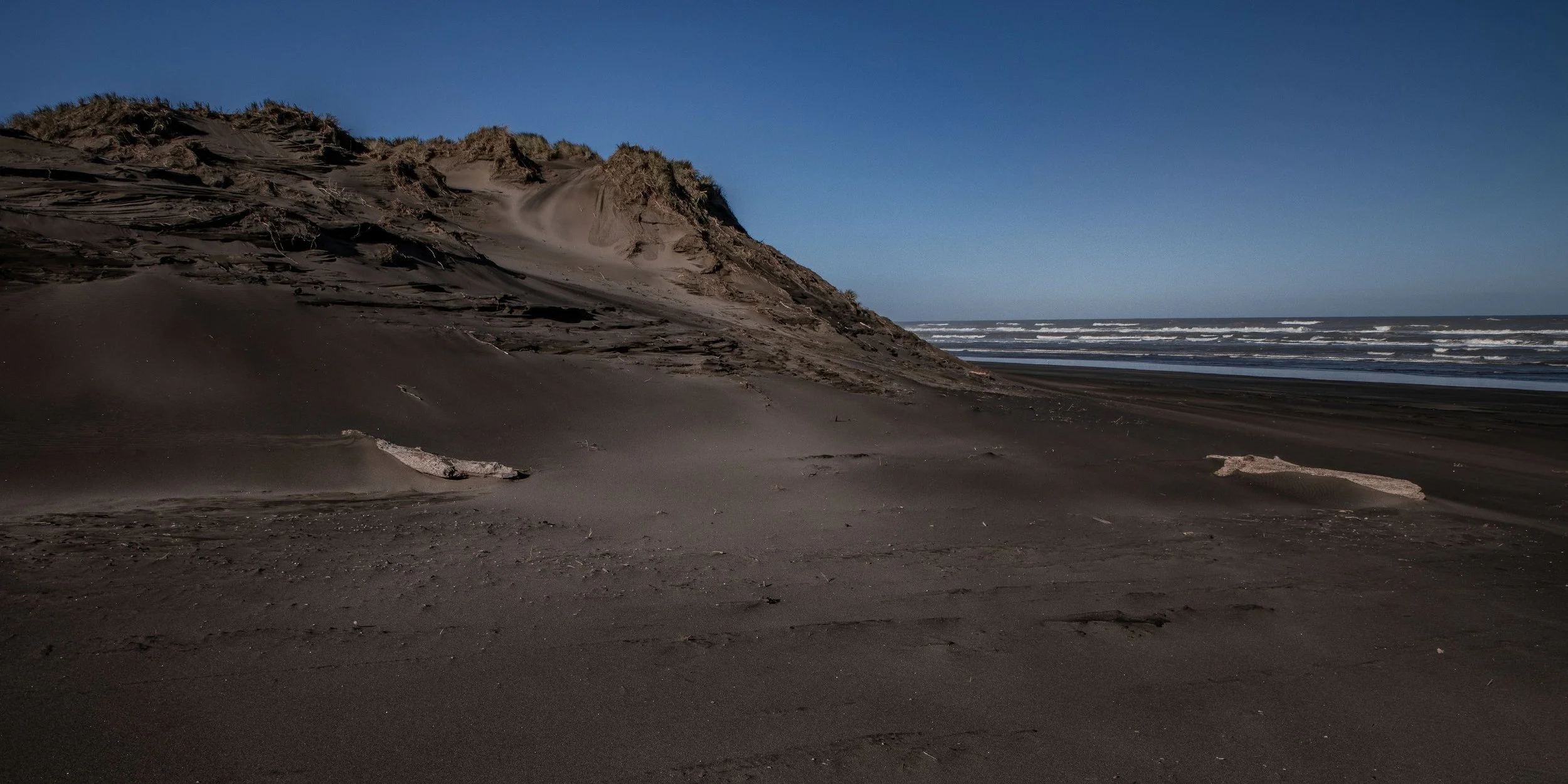 Muriwai Beach,-335.JPG