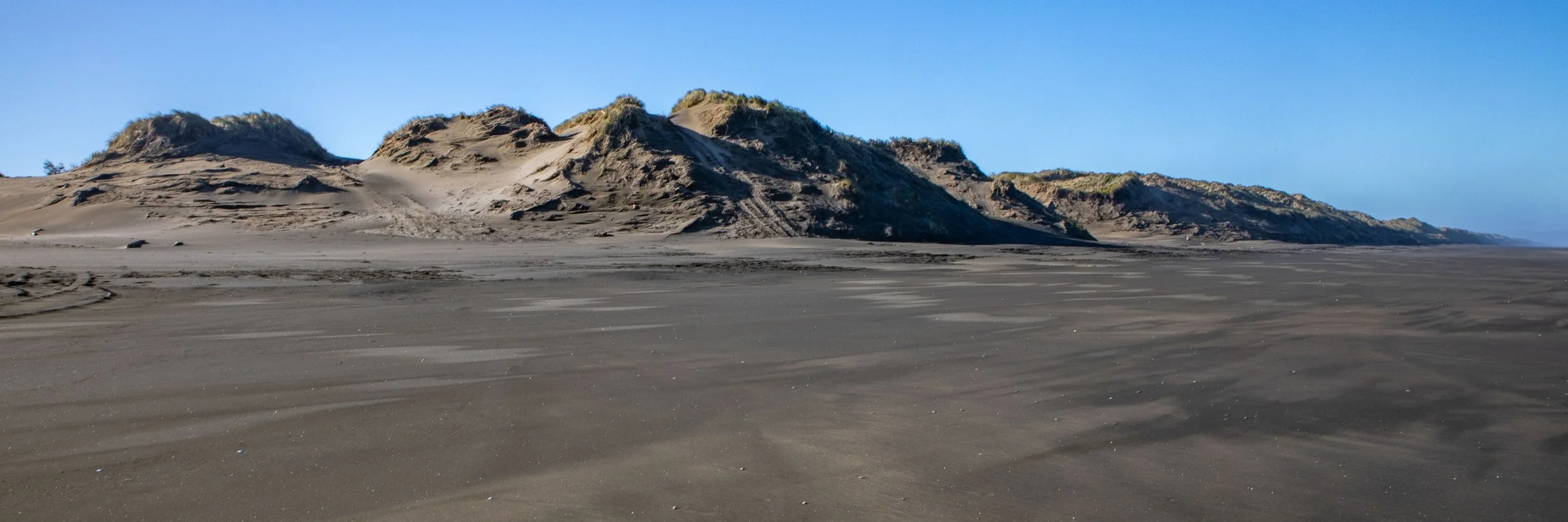 Muriwai Beach,-337.JPG