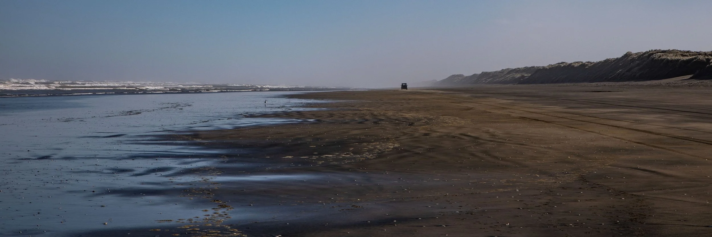 Muriwai Beach,-338.JPG