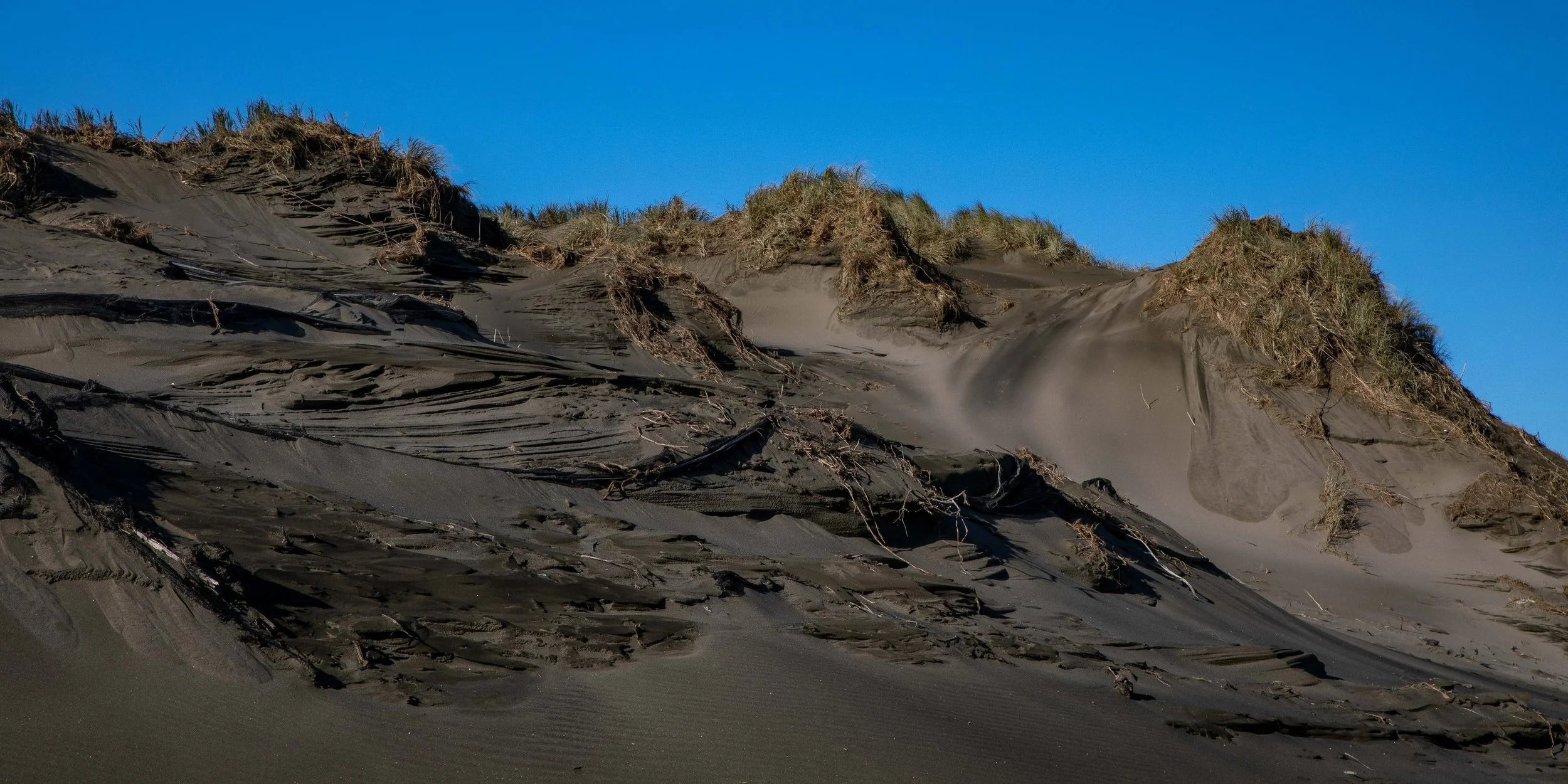 Muriwai Beach,-341.JPG