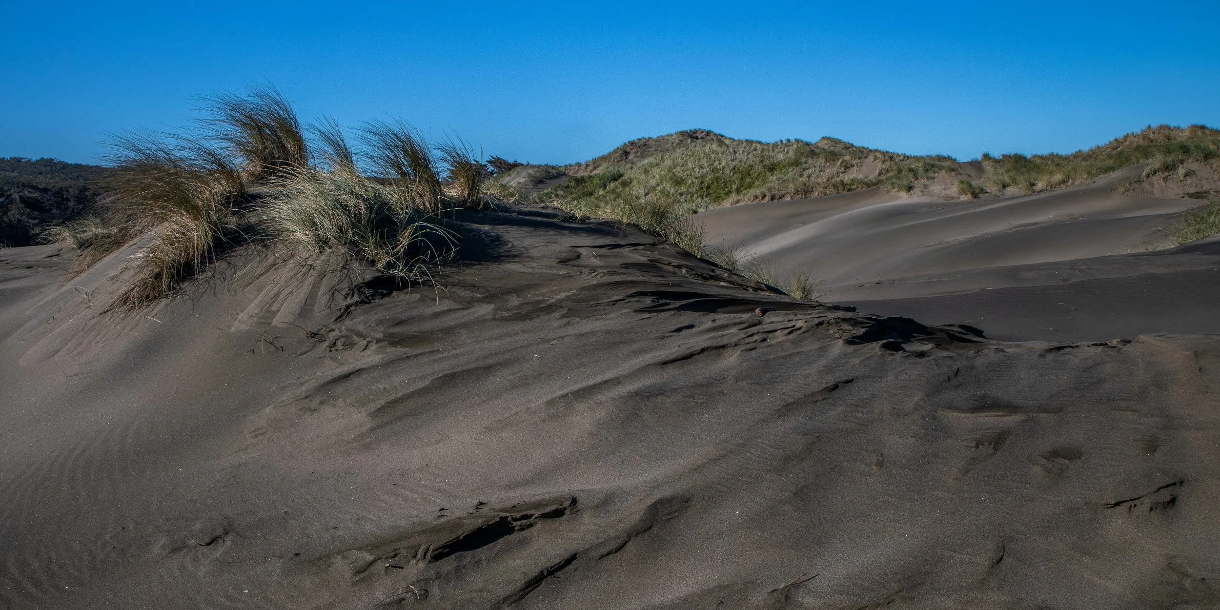 Muriwai Beach,-345.JPG