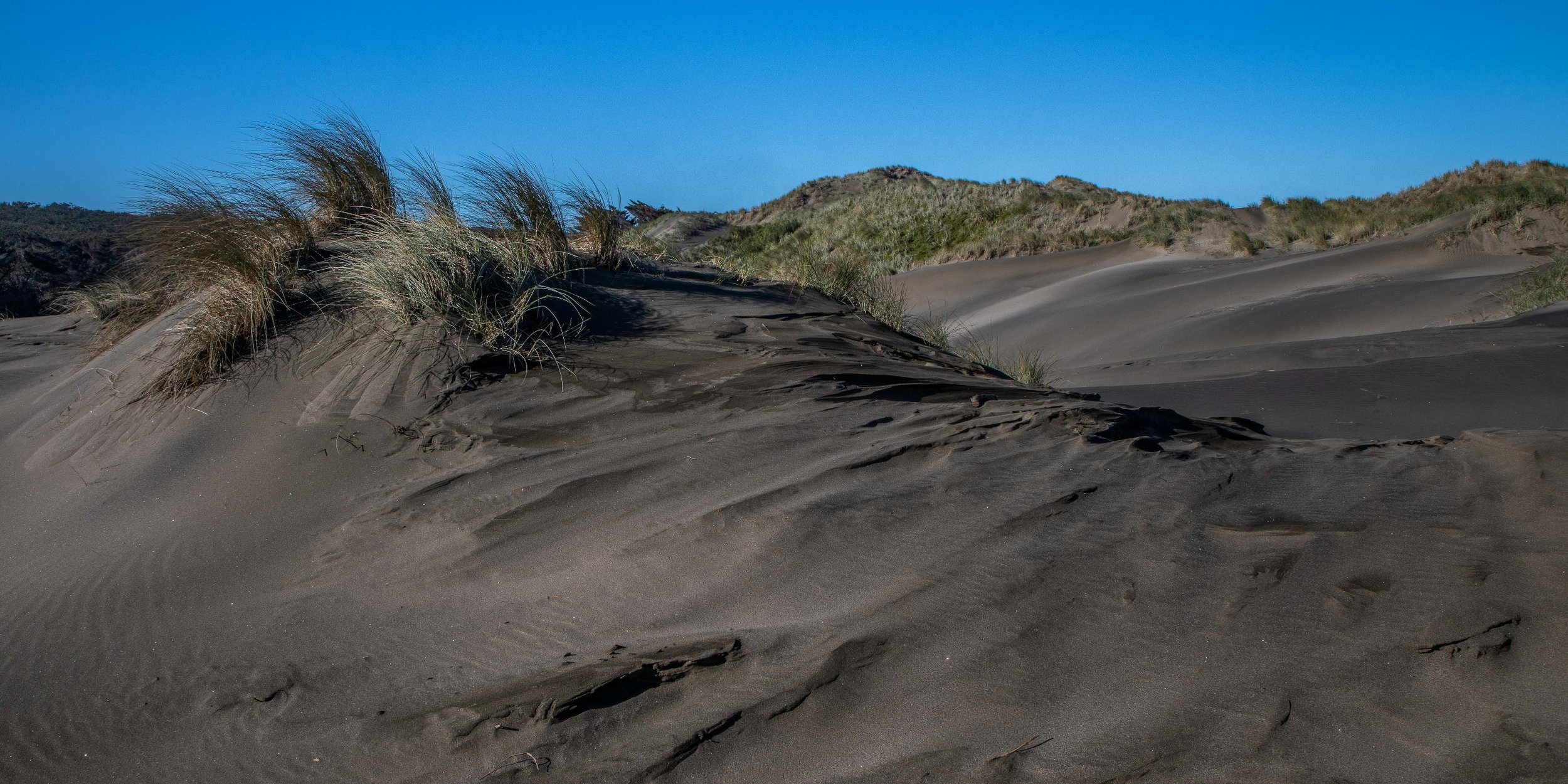 Muriwai Beach,-345.JPG