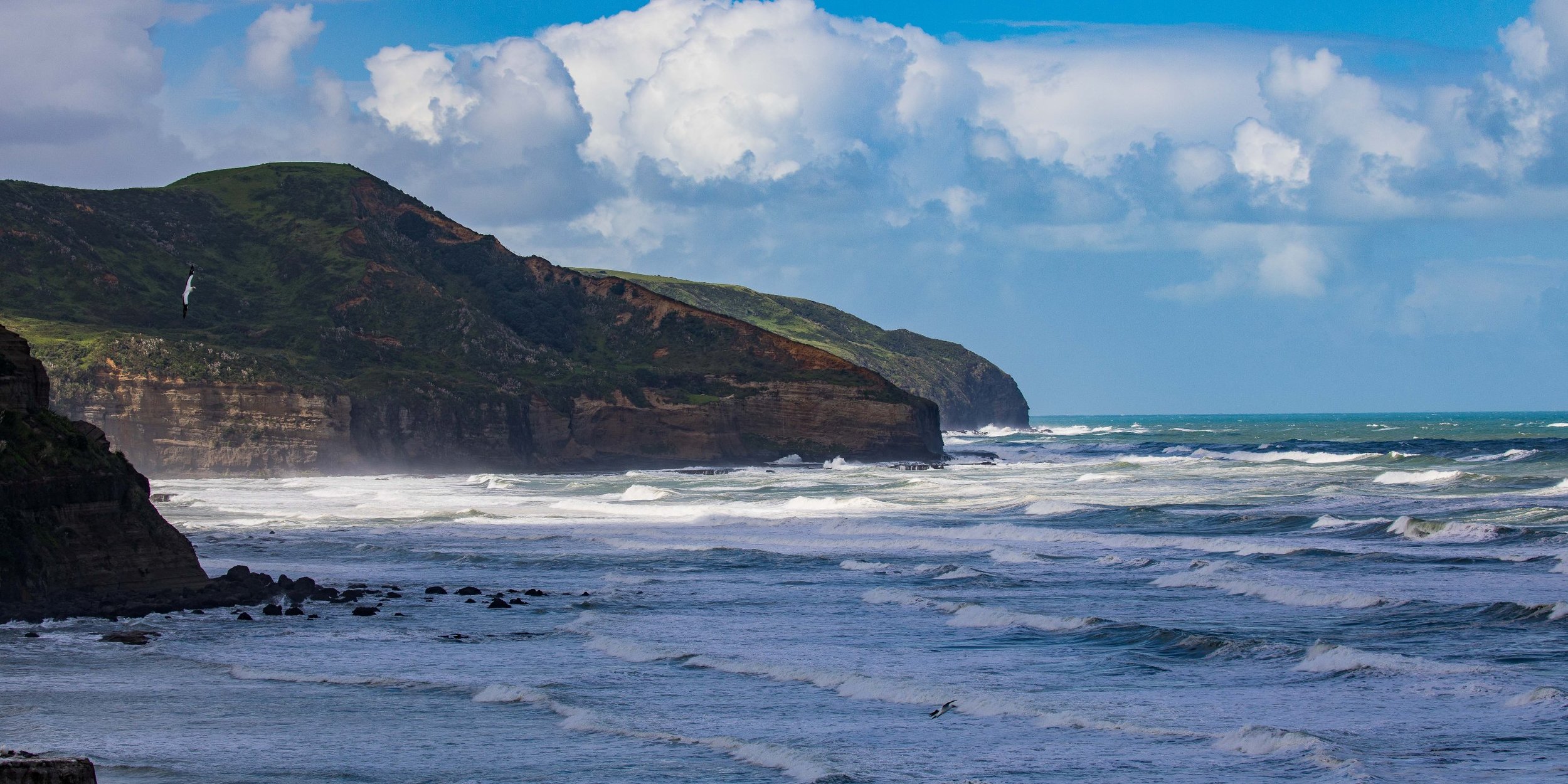Muriwai, Maori Bay,-559.JPG