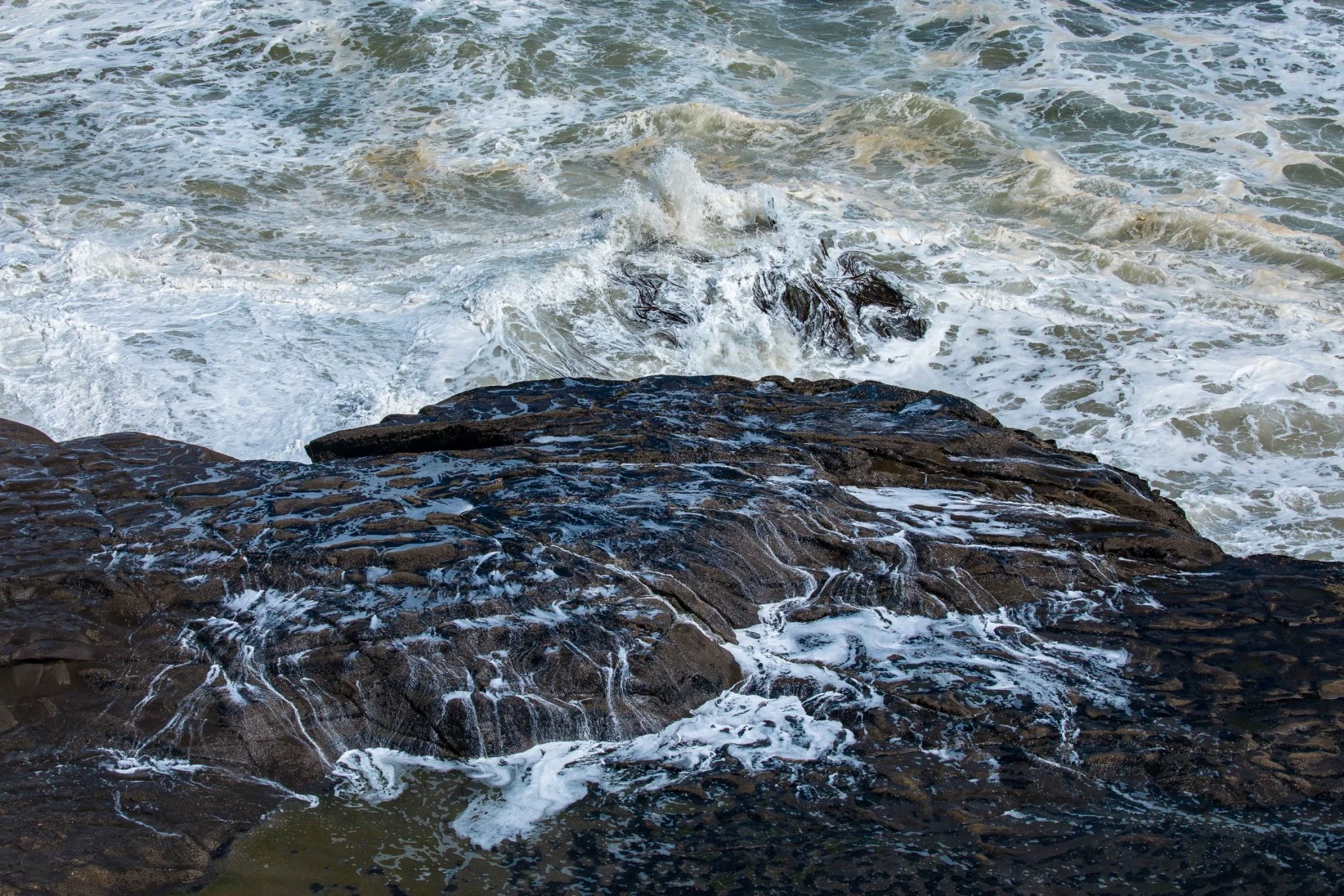 Muriwai, Maori Bay,-580.JPG