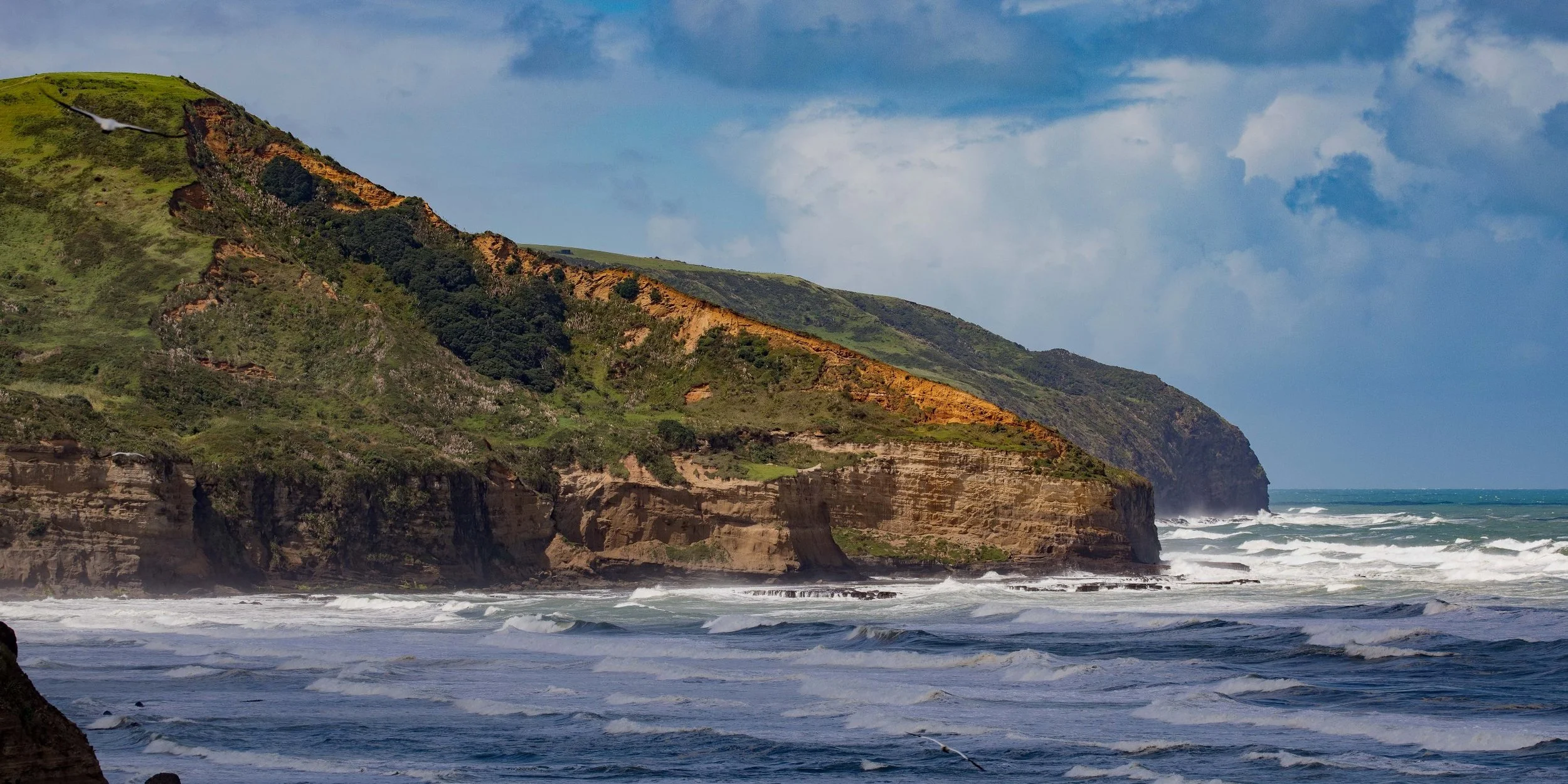 Muriwai, Maori Bay,-634.JPG