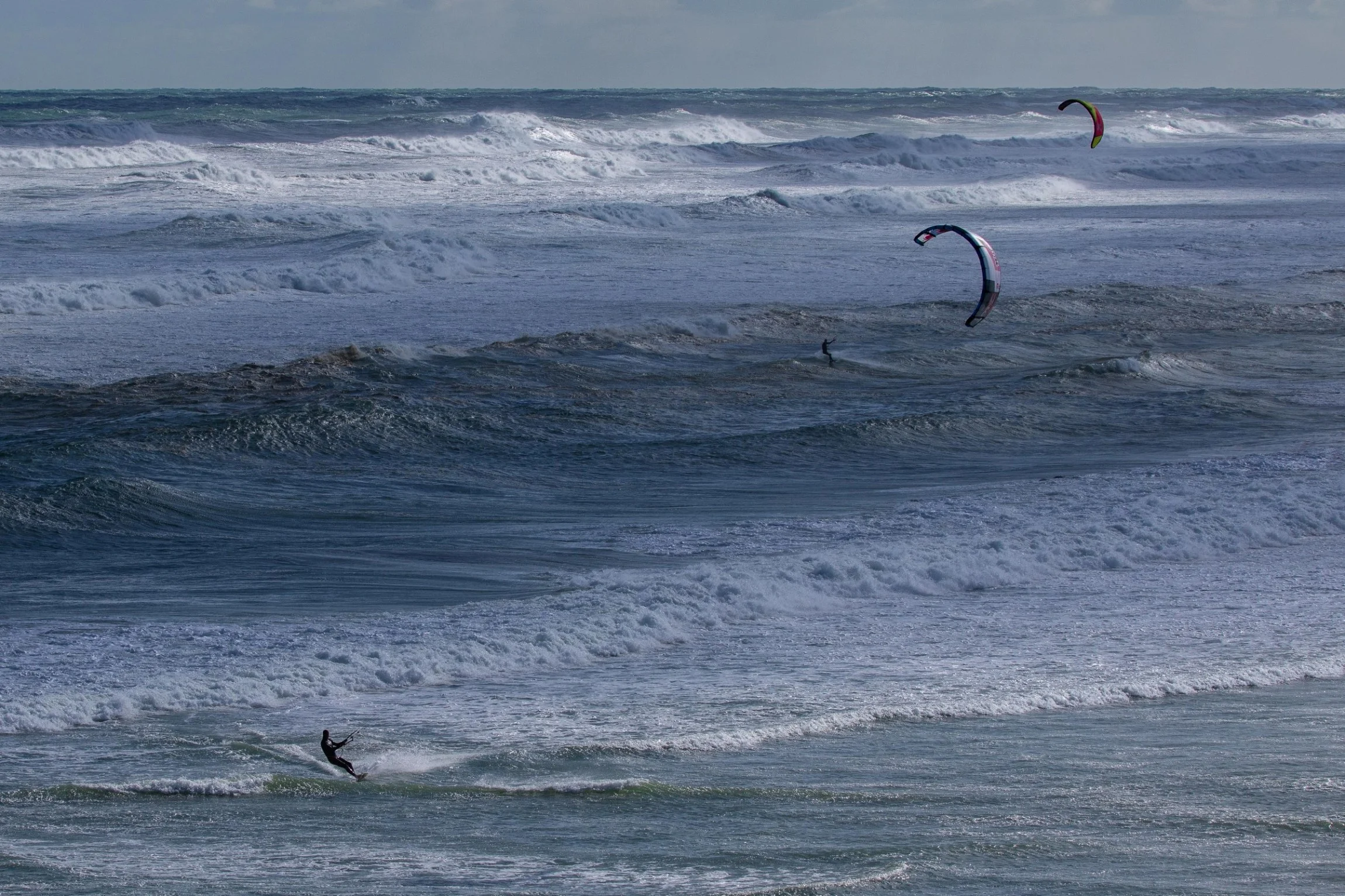 Muriwai,-069.JPG