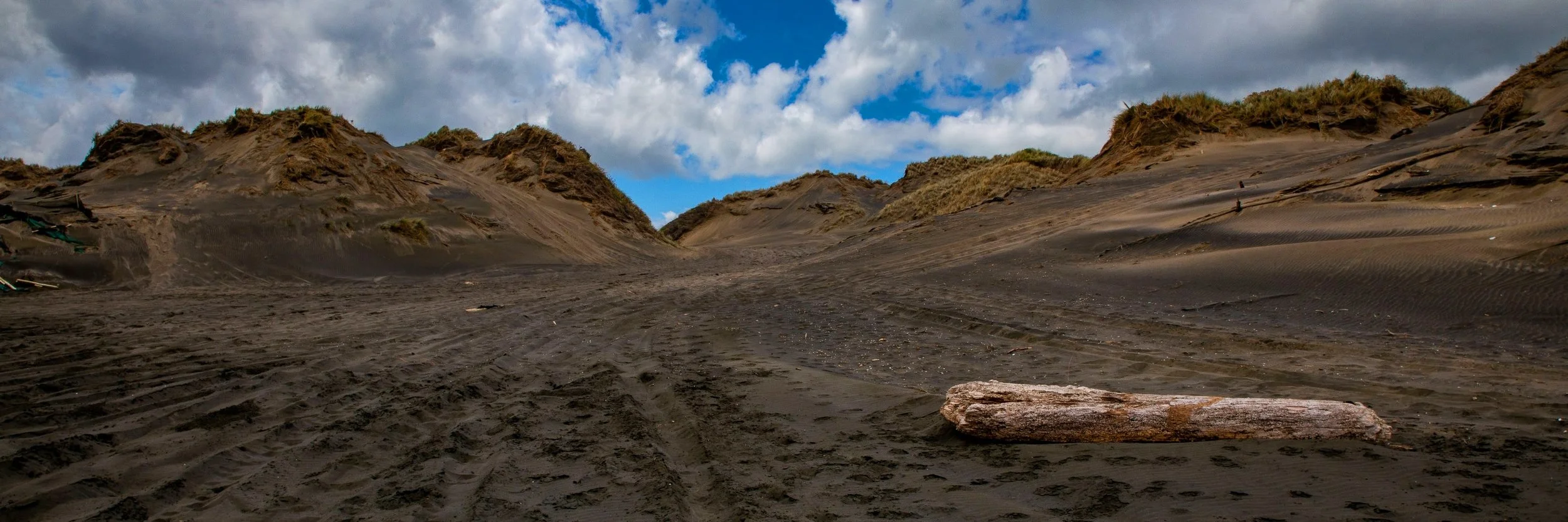 Muriwai,-476.JPG