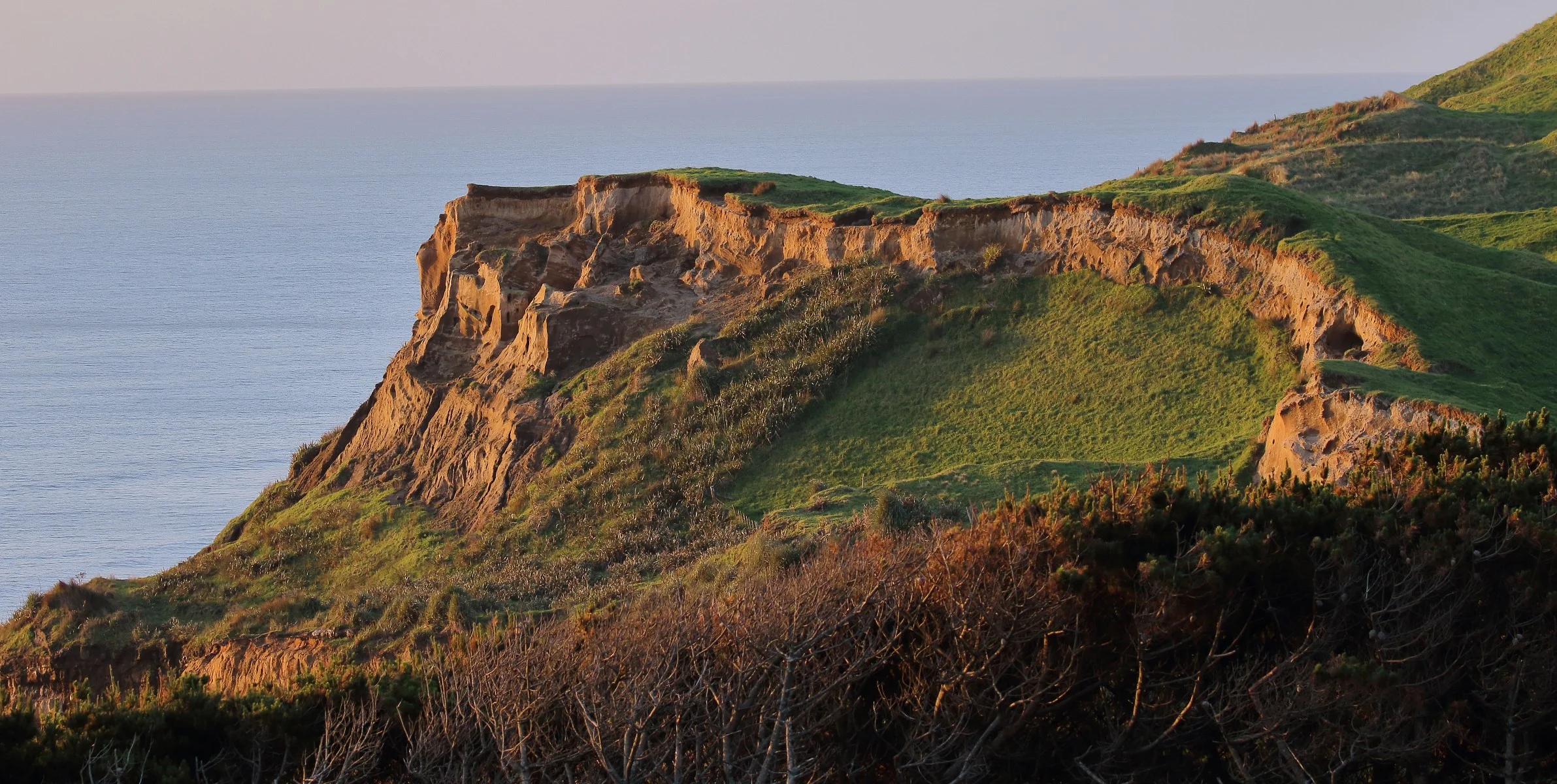 Karioitahi Beach,-290.JPG